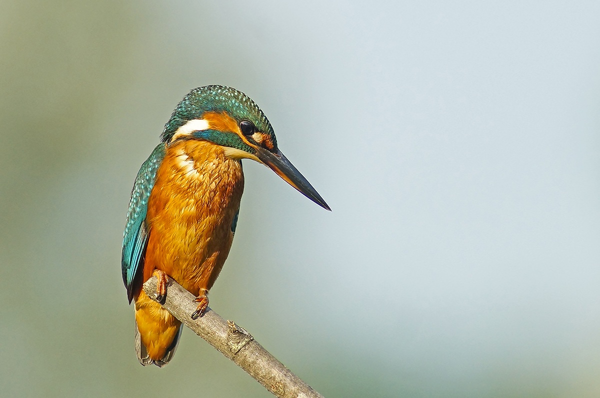 martina al tramonto 2