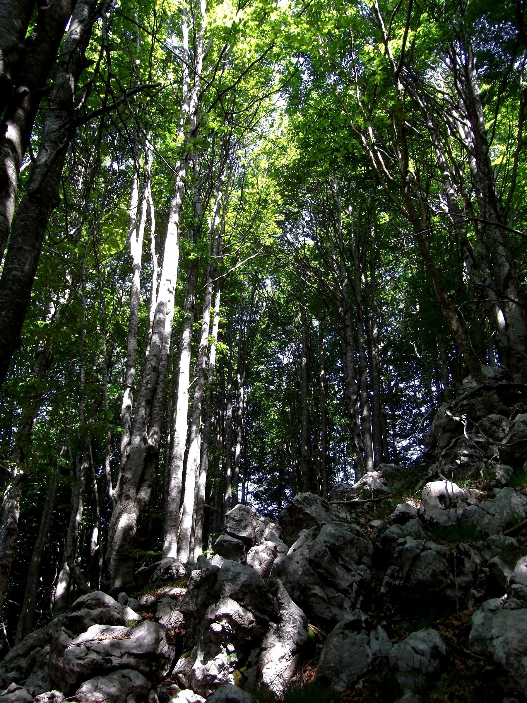 The light in the rocks