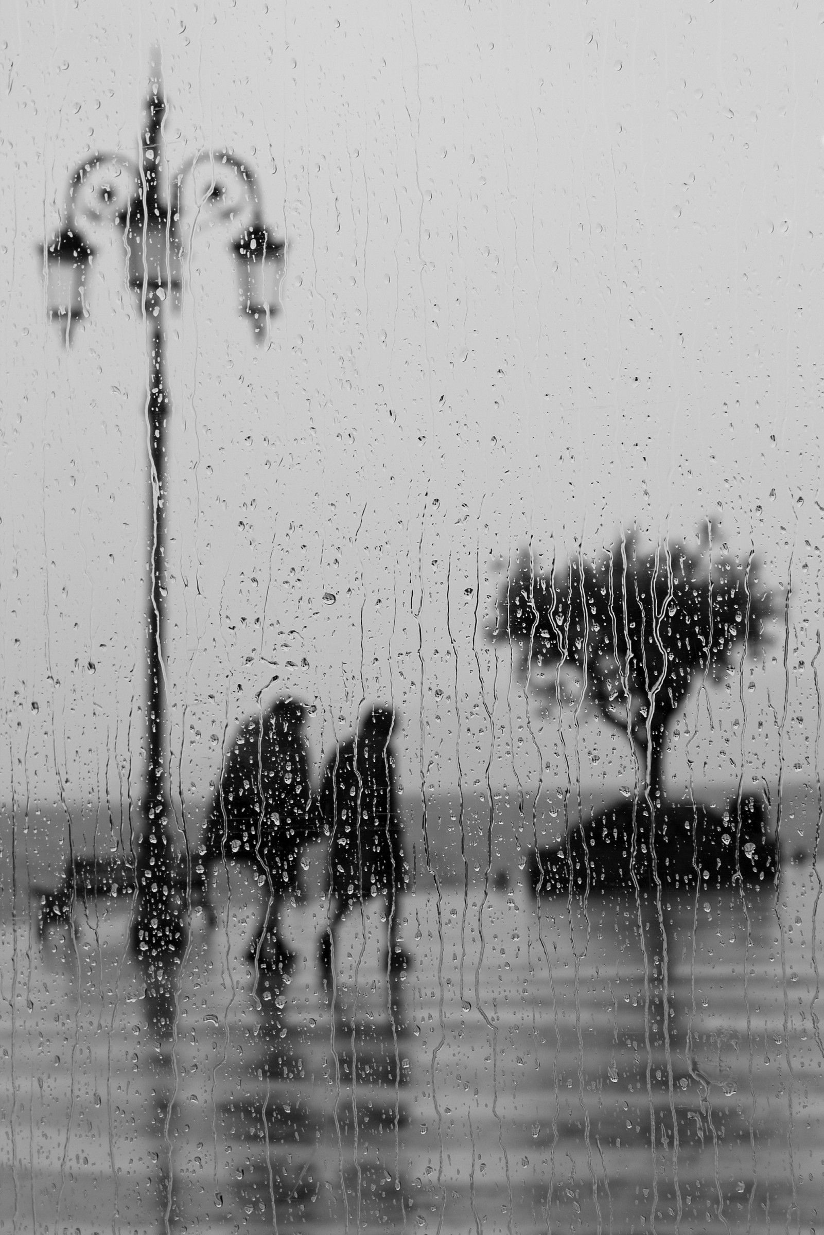 ogni cosa ha un suo segreto sotto la pioggia