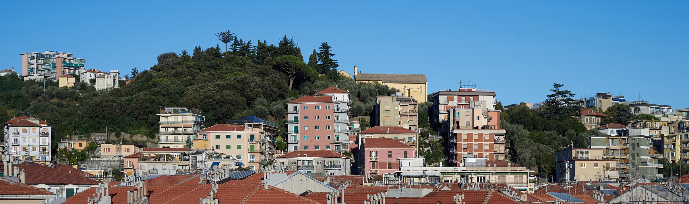 Test ELMARIT Leica-R 60mm f2.8 macro on Sony A7R color