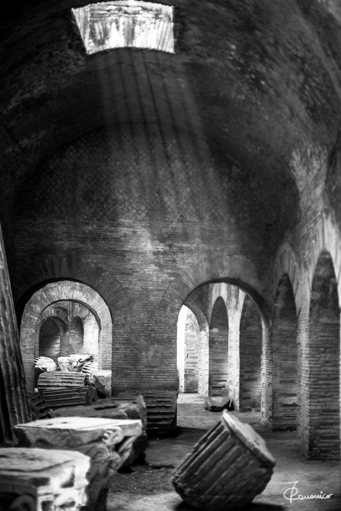 light in the shadows