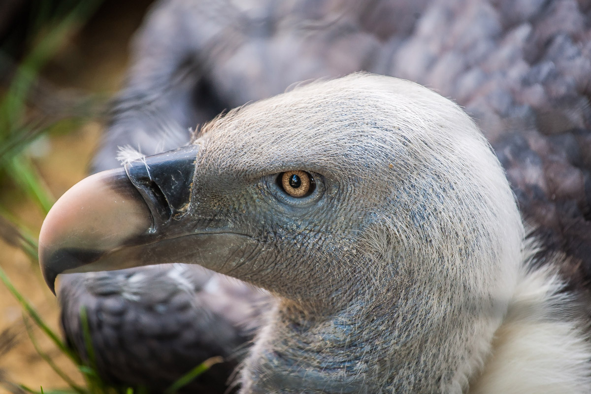 I'm watching you ...