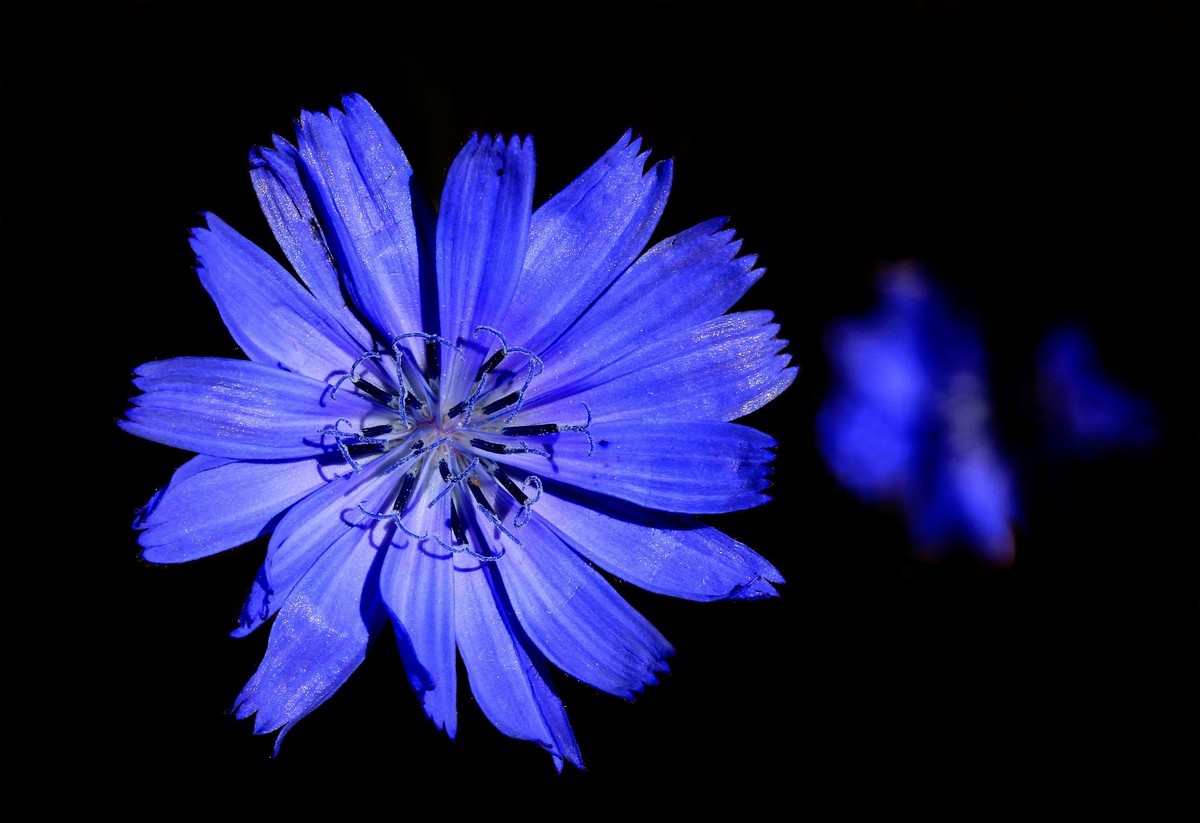 Oggi, domani e dopodomani...