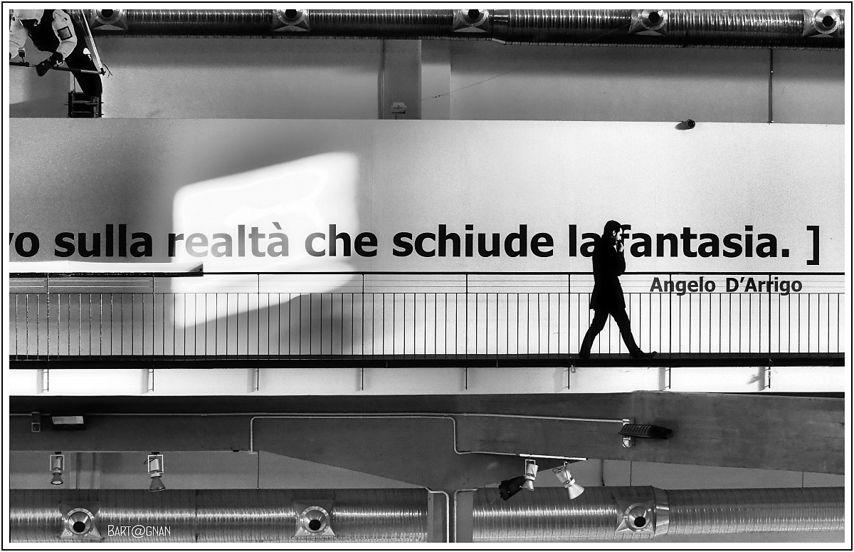 Volare è uno sguardo alternativo...