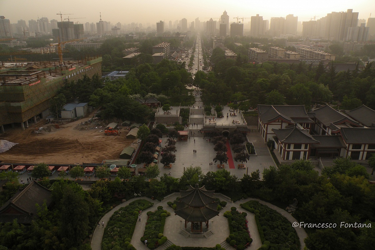 La bellezza soccombe