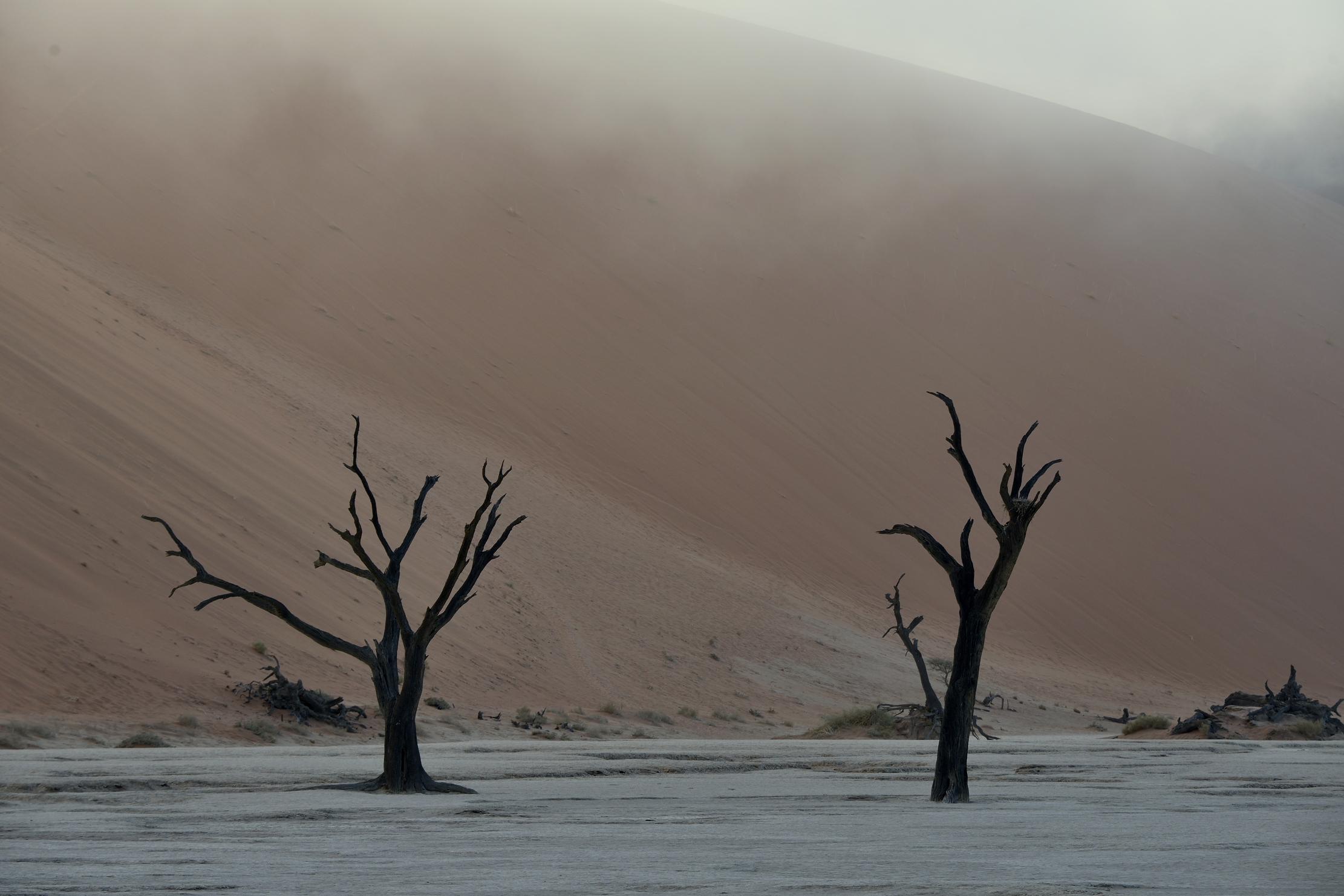 Deserto del Namib - Deadvlei