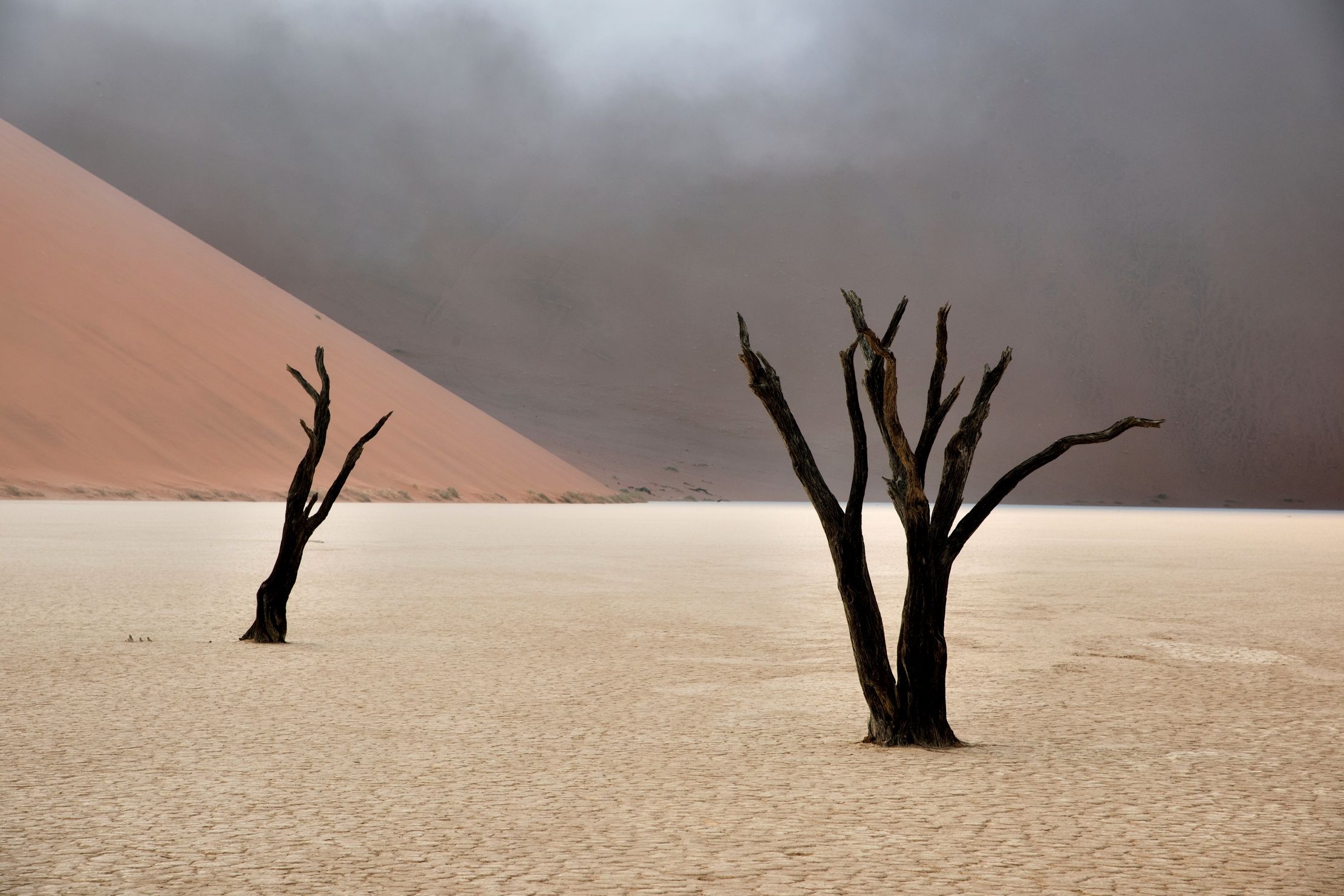 Deserto del Namib - Deadvlei