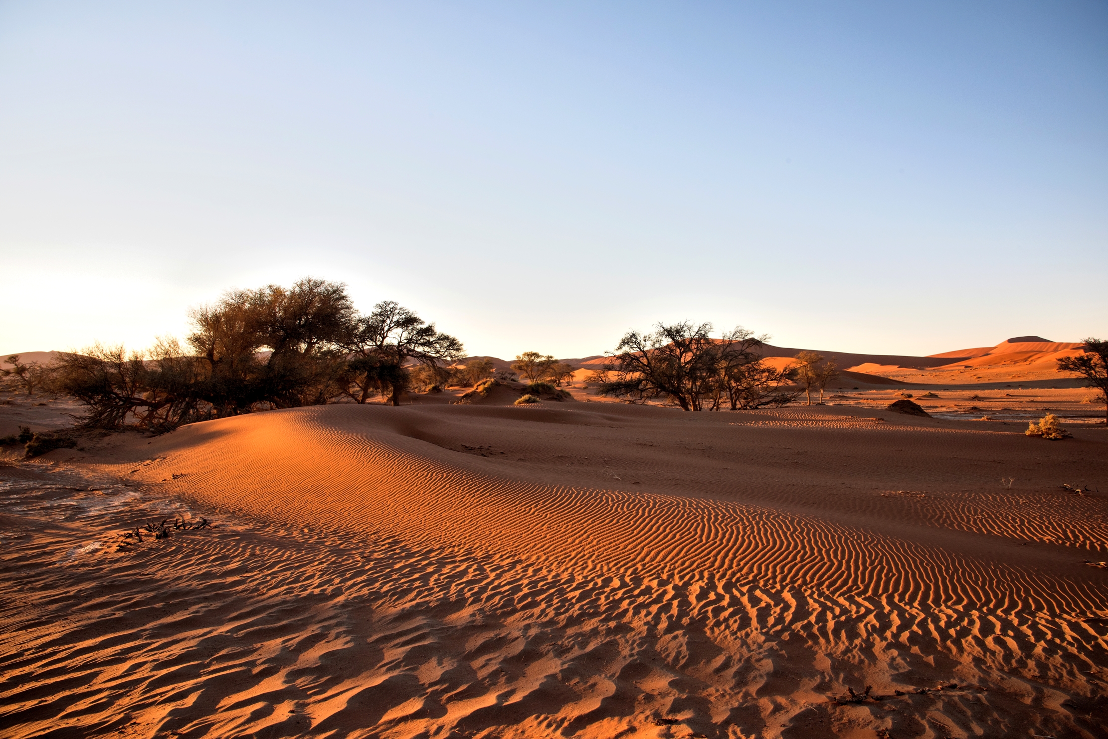 Deserto del Namib