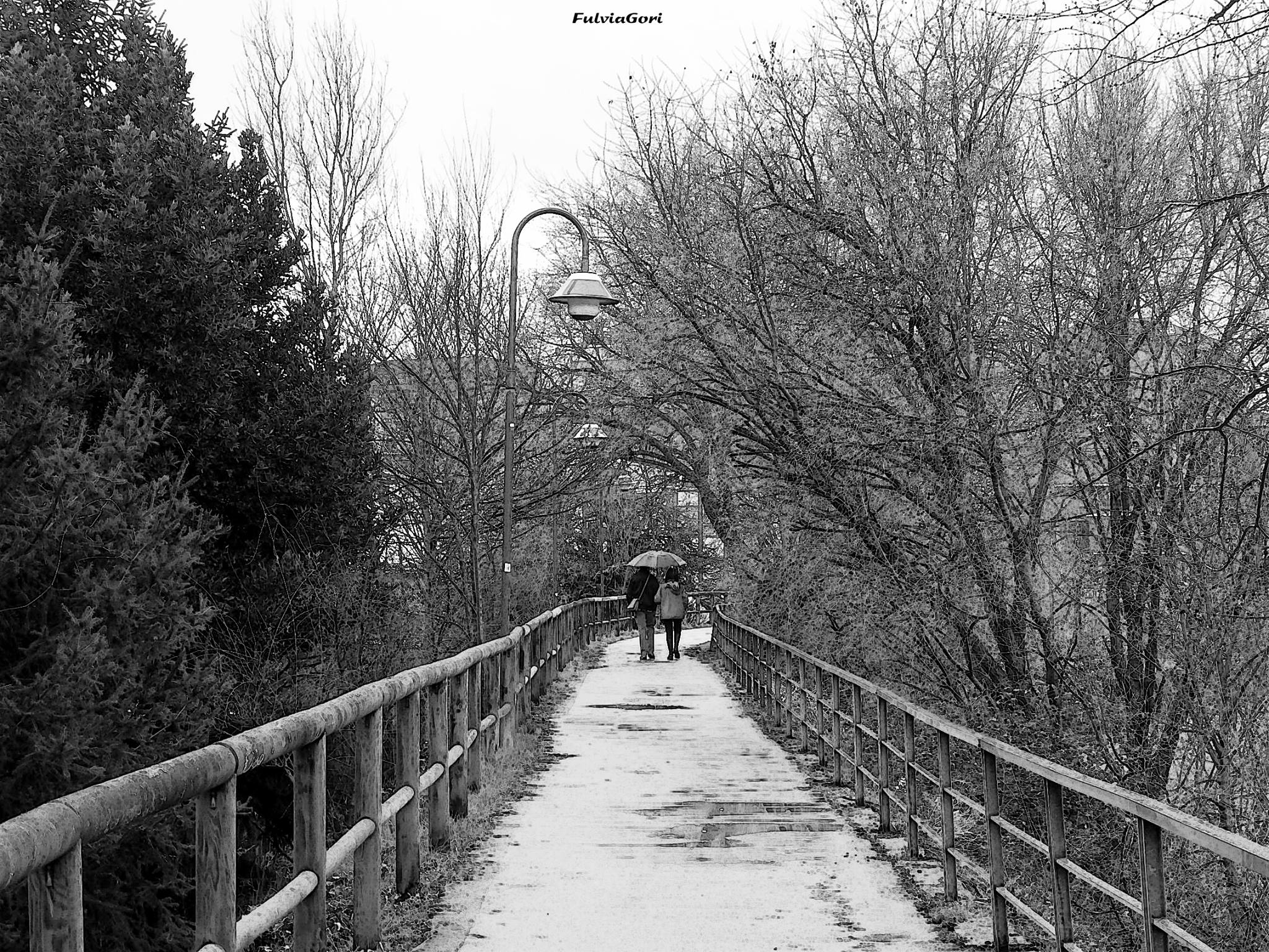 in un giorno di pioggia