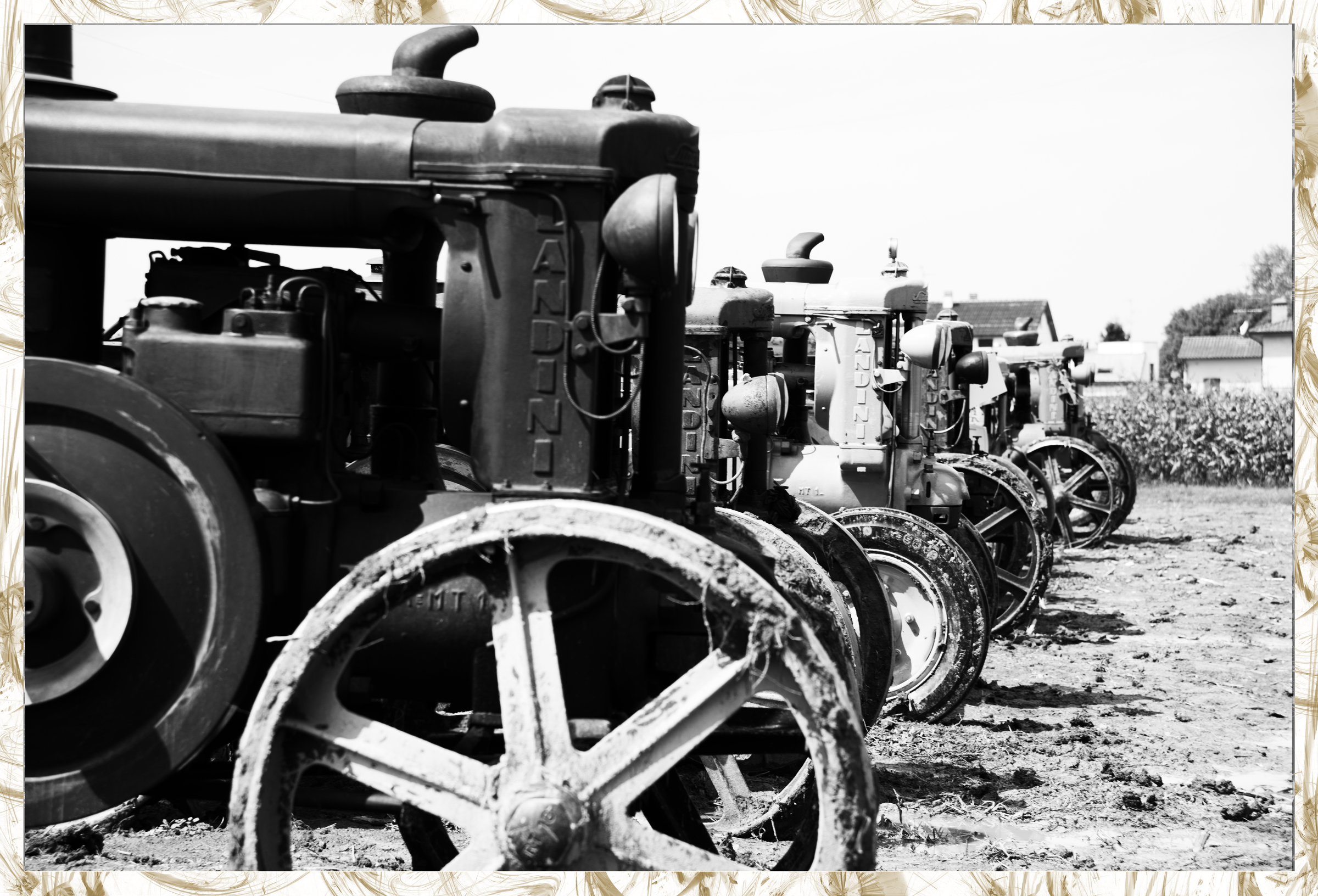 Landini , super e velite