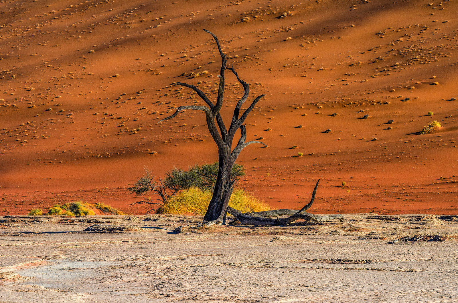 Quintessence of the light