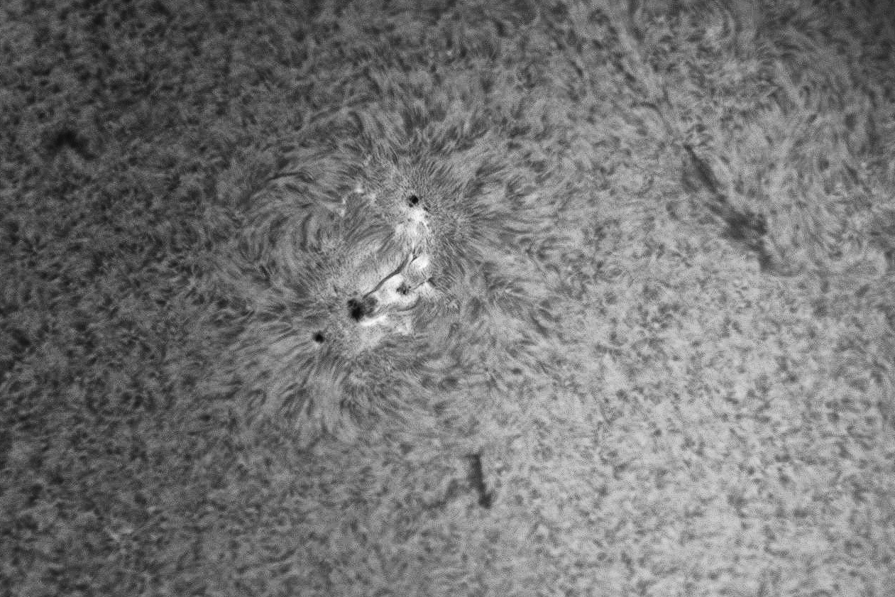 Solare h-alfa. Regione attiva