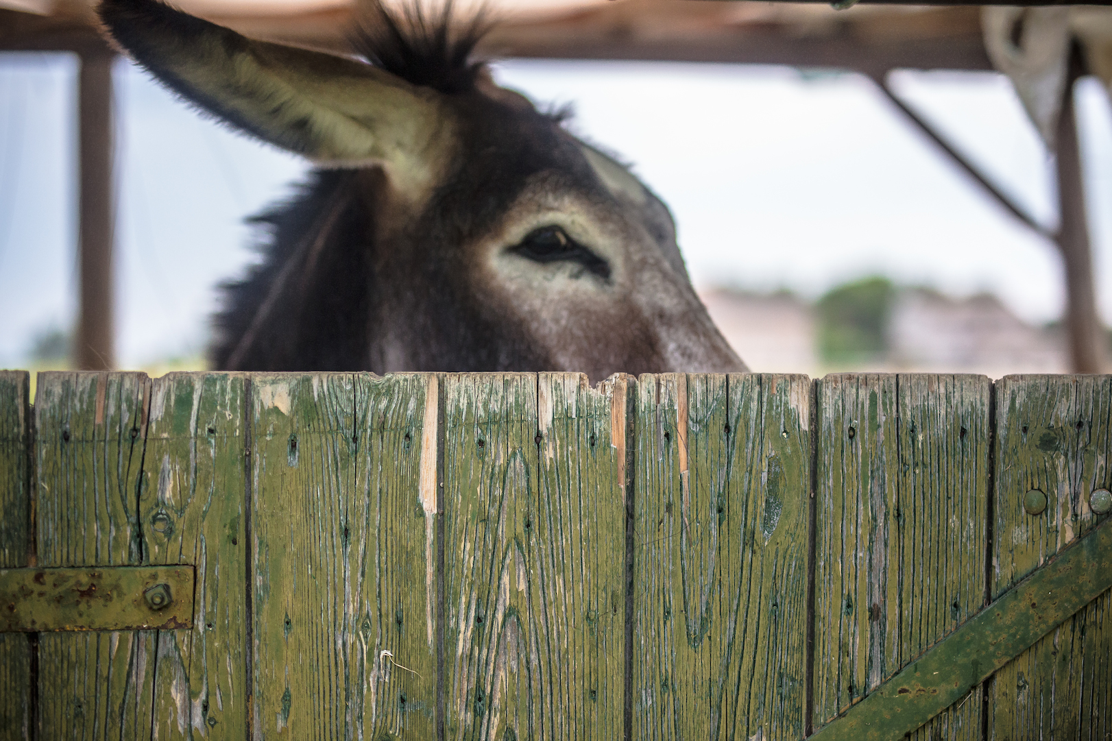 Non guardarmi.....non ti sento...