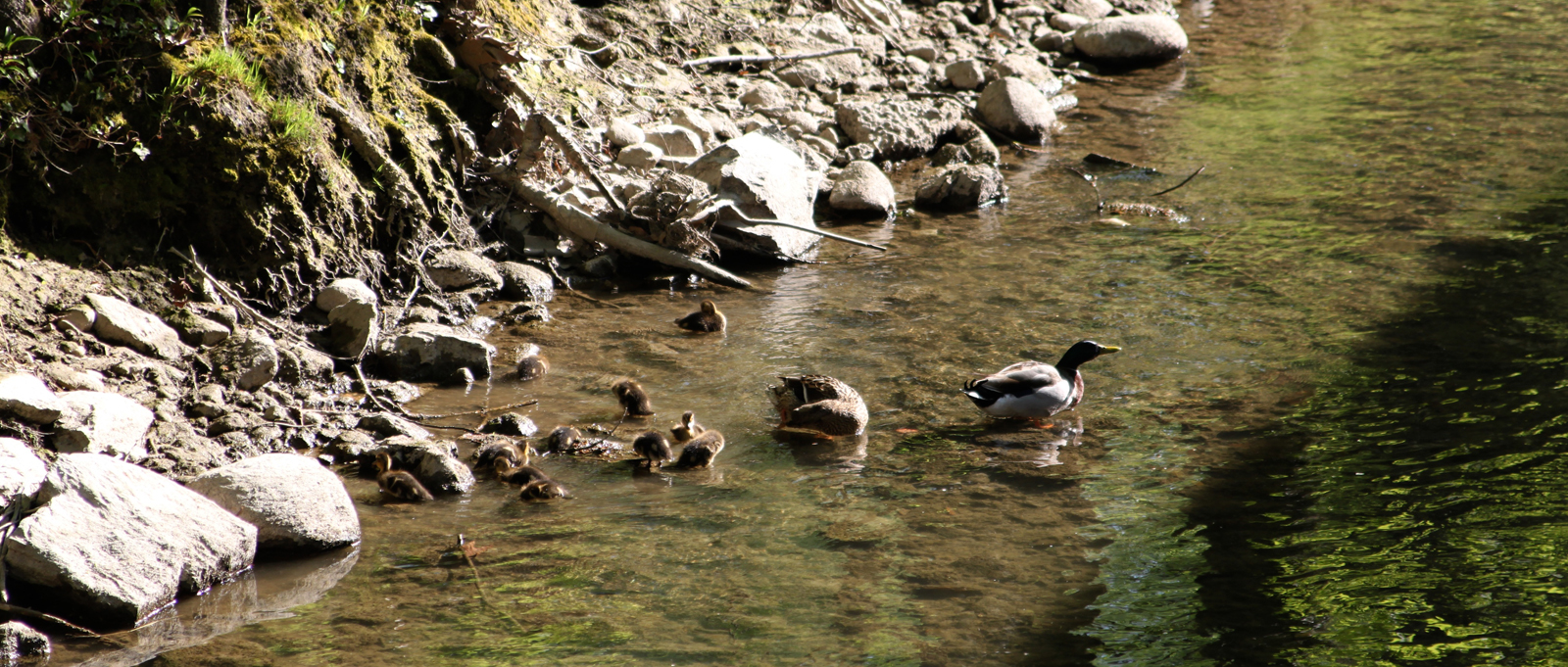 Famigliola sul Lambro