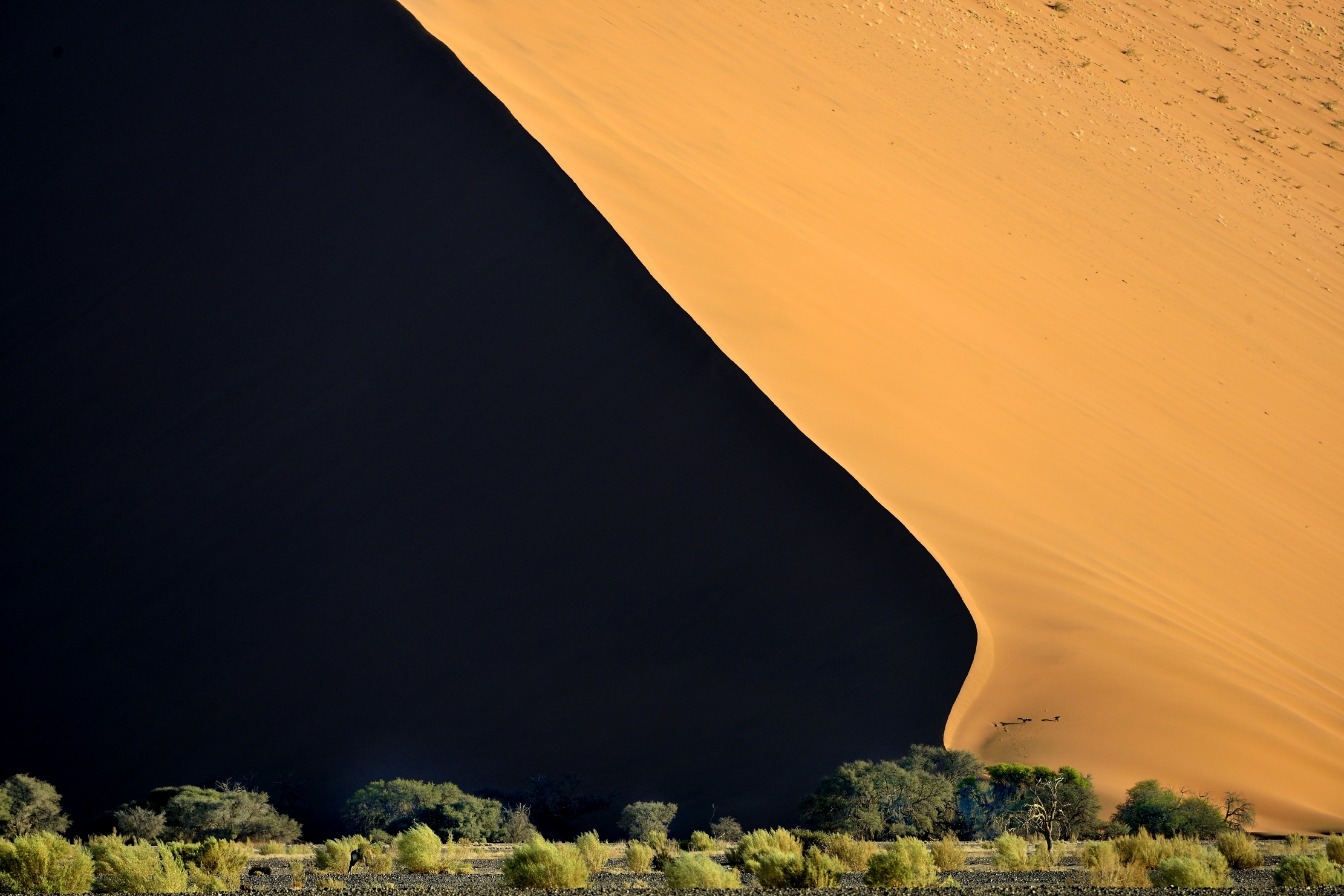 Deserto del Namib - Sossusvlei