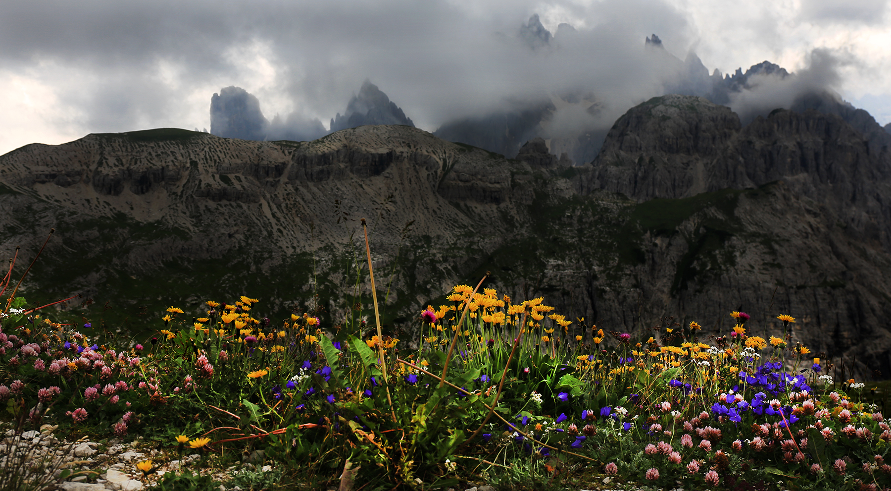 Dolomite landscape with flowers