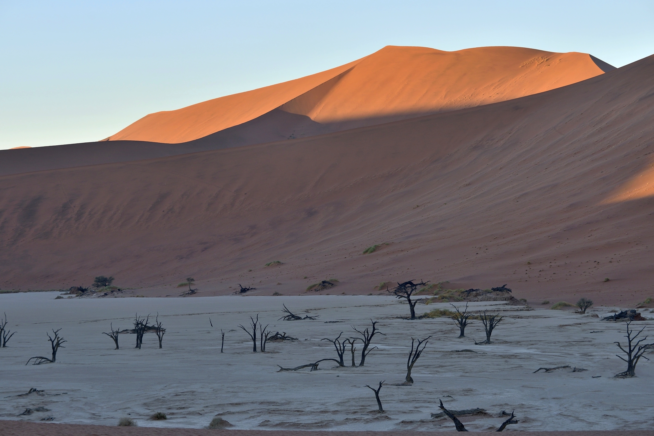 Deserto del Namib - Deadvlei