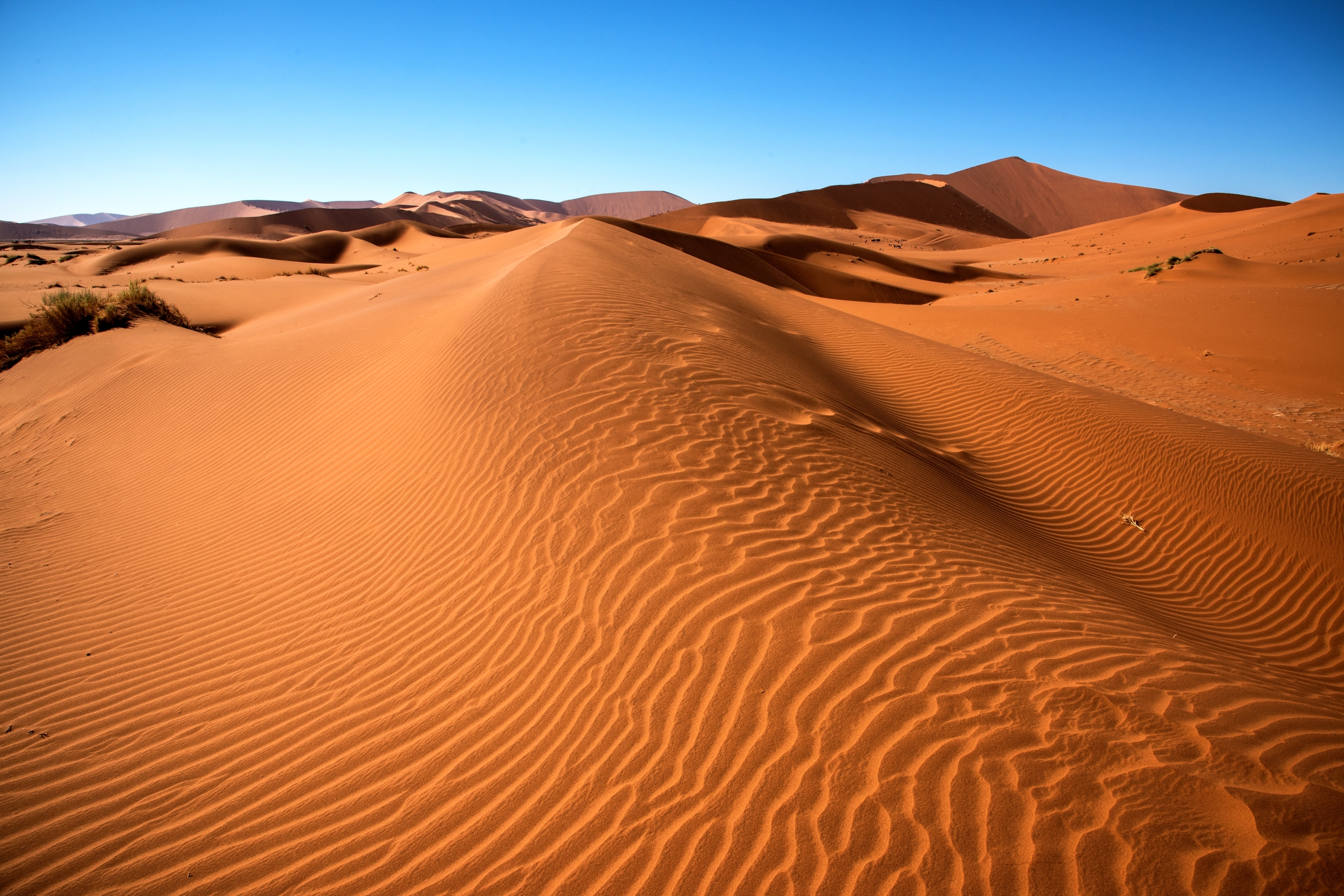Deserto del Namib