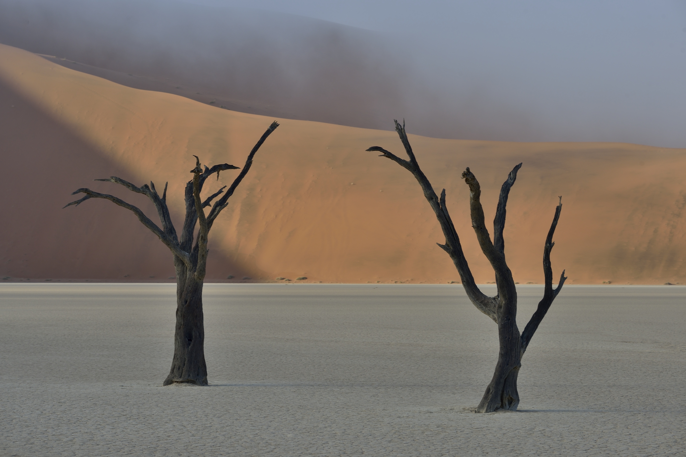 deserto del Namib - Deavlei