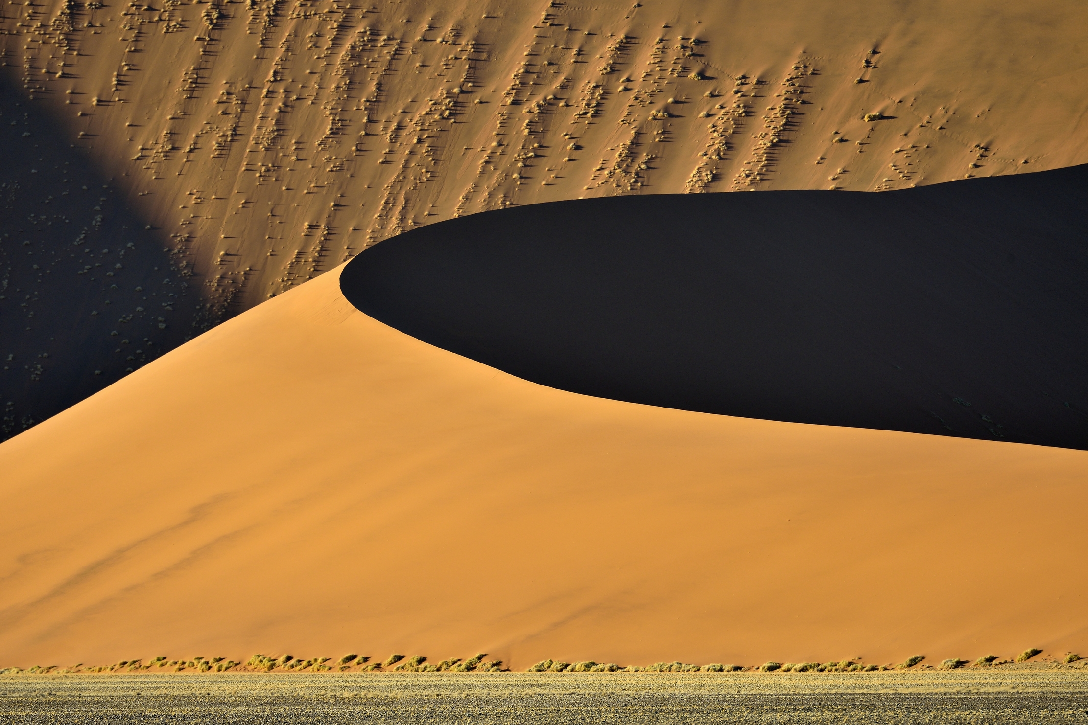 Deserto del Namib