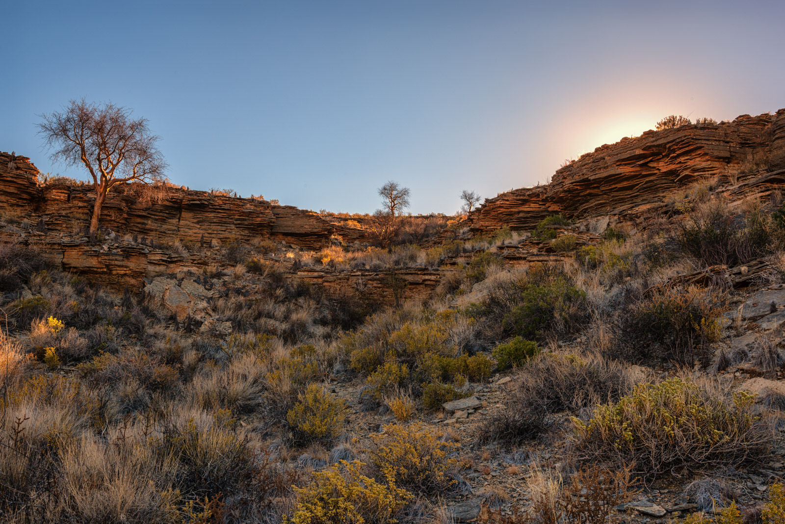 Wild Namibia of Zebra Mountain