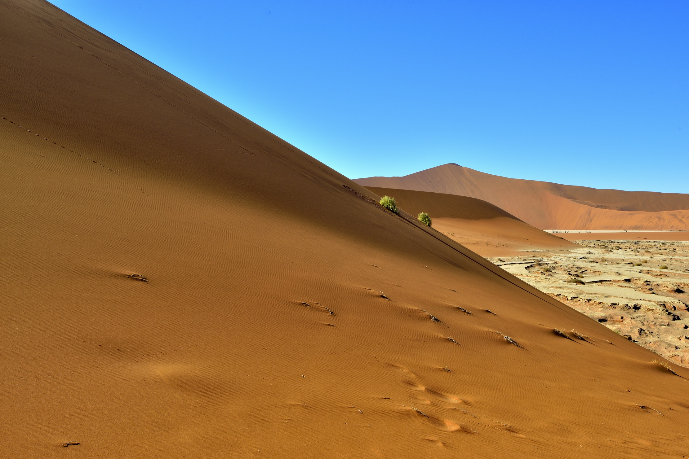 Deserto del Namib