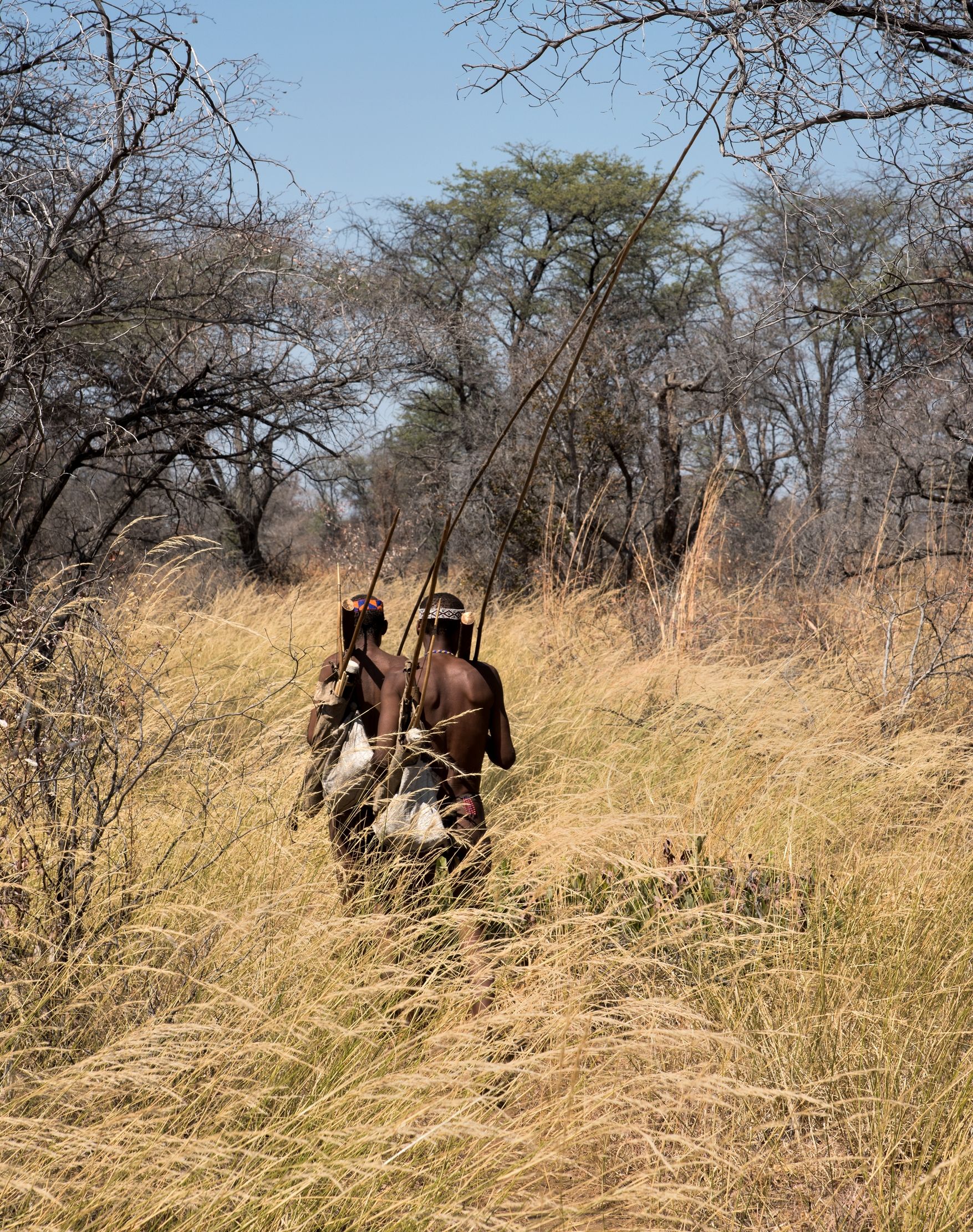 Bushmanland - Cacciatori Boscimani