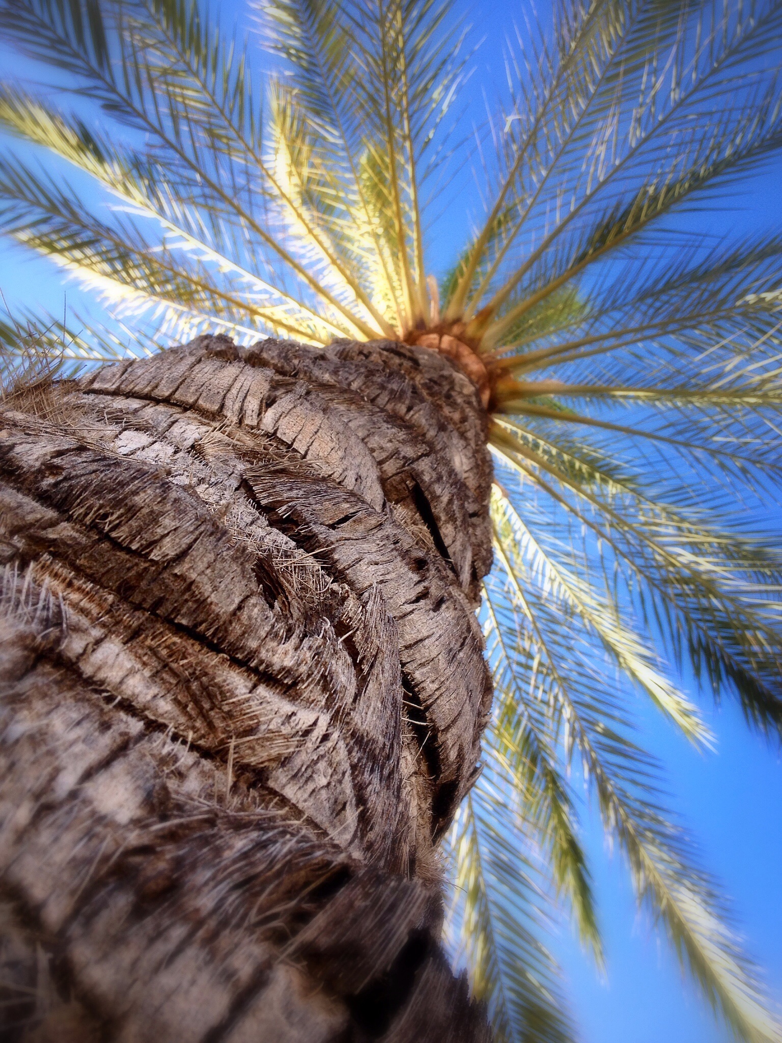 Palma De Mallorca ....