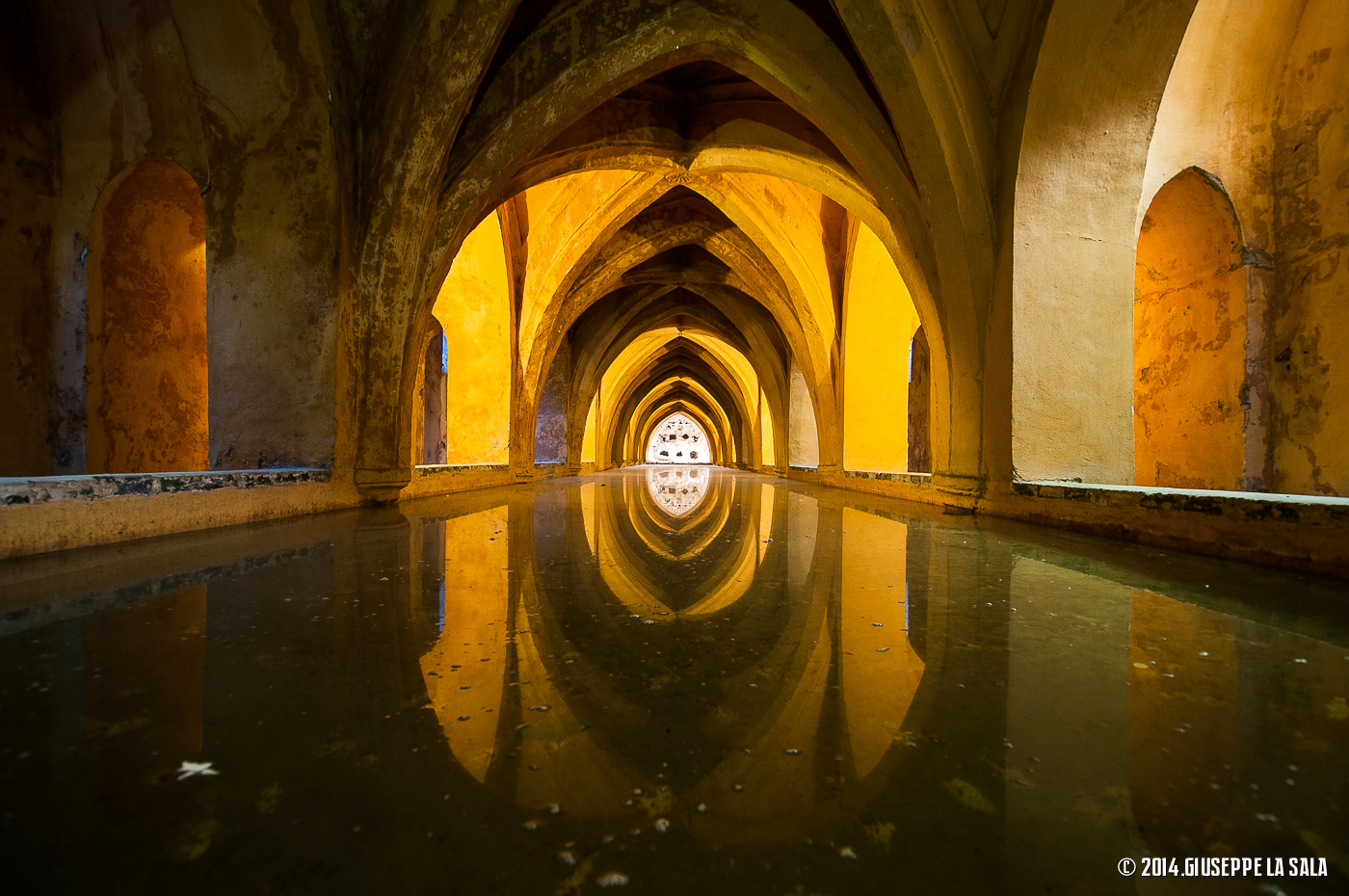 Reflections Alcazar Seville