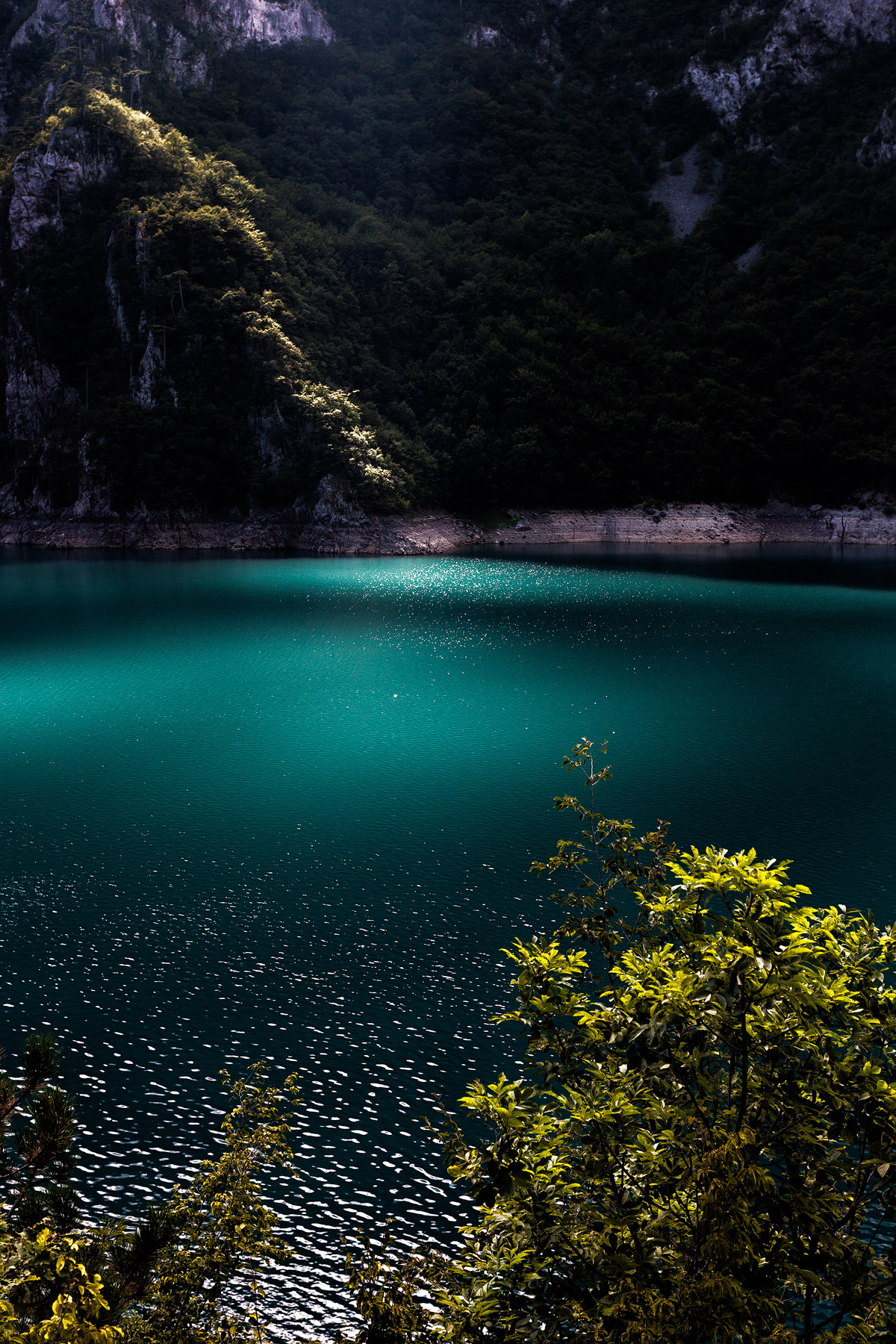 L'inizio (Montenegro, Fiume Piva)