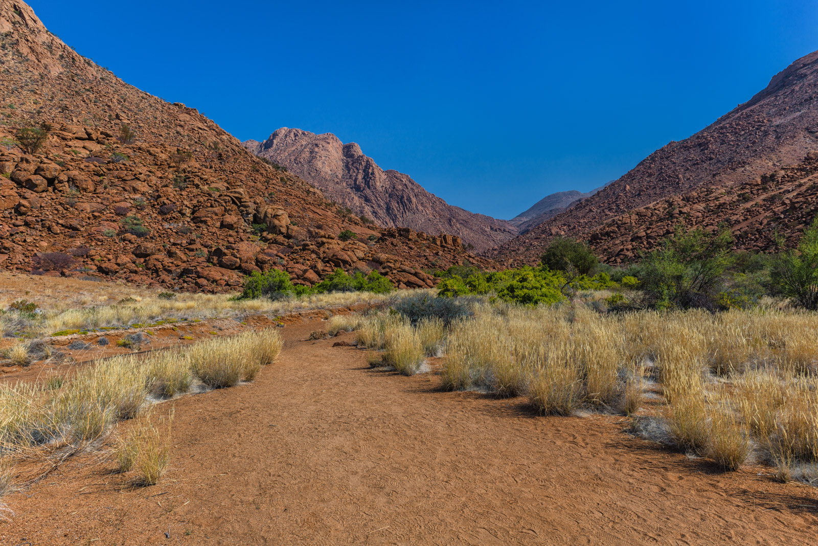 Brandberg Moutains - White Lady Rock