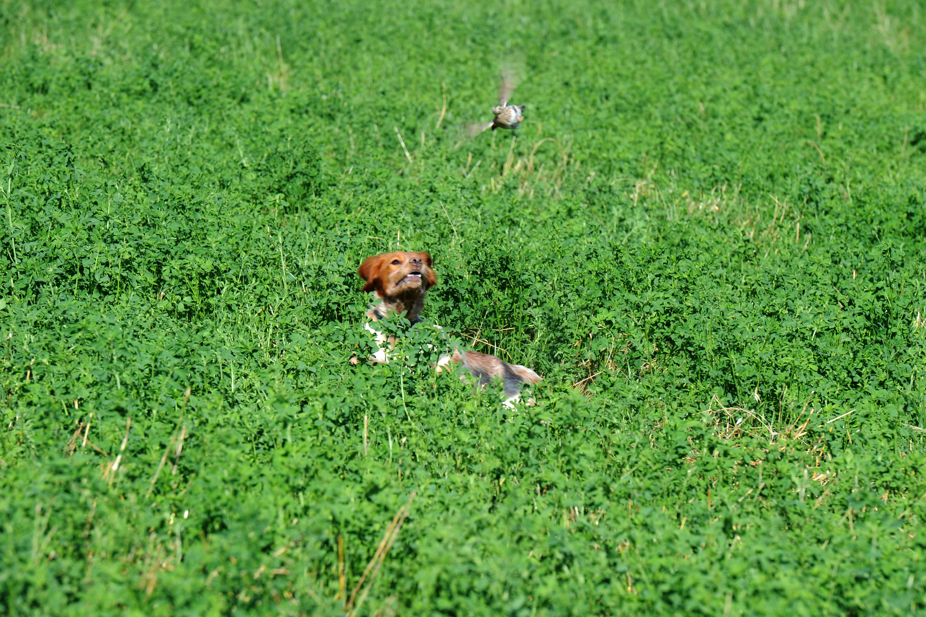 accidenti mi e' scappata....