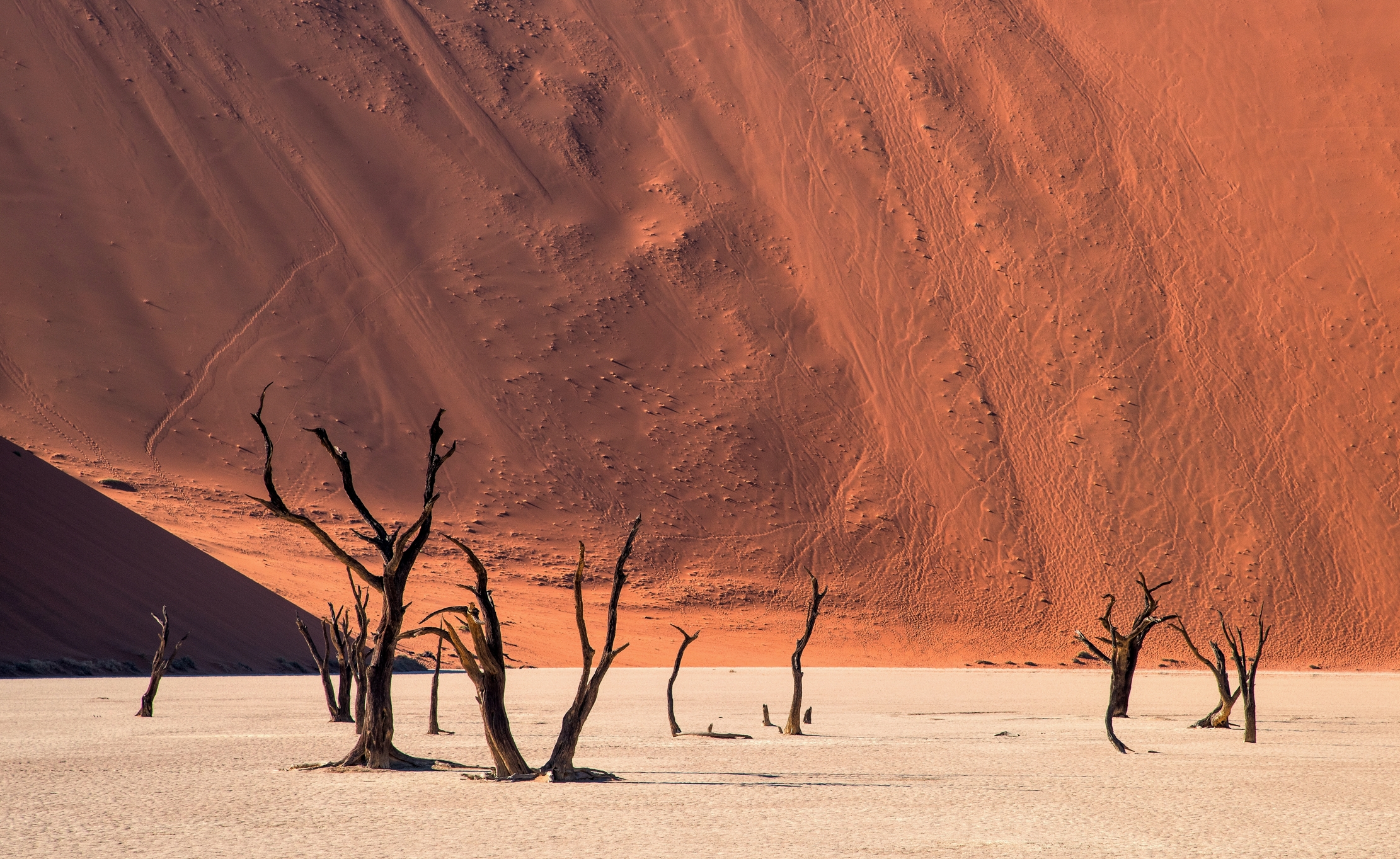 Deserto  del Namib - Deadvlei