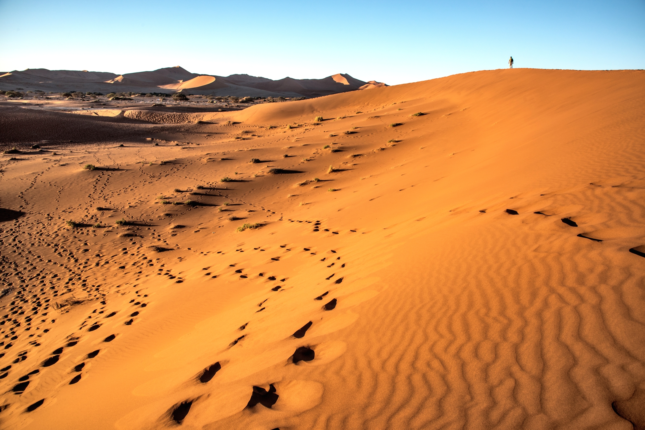 Deserto  del Namib - Sossusvlei