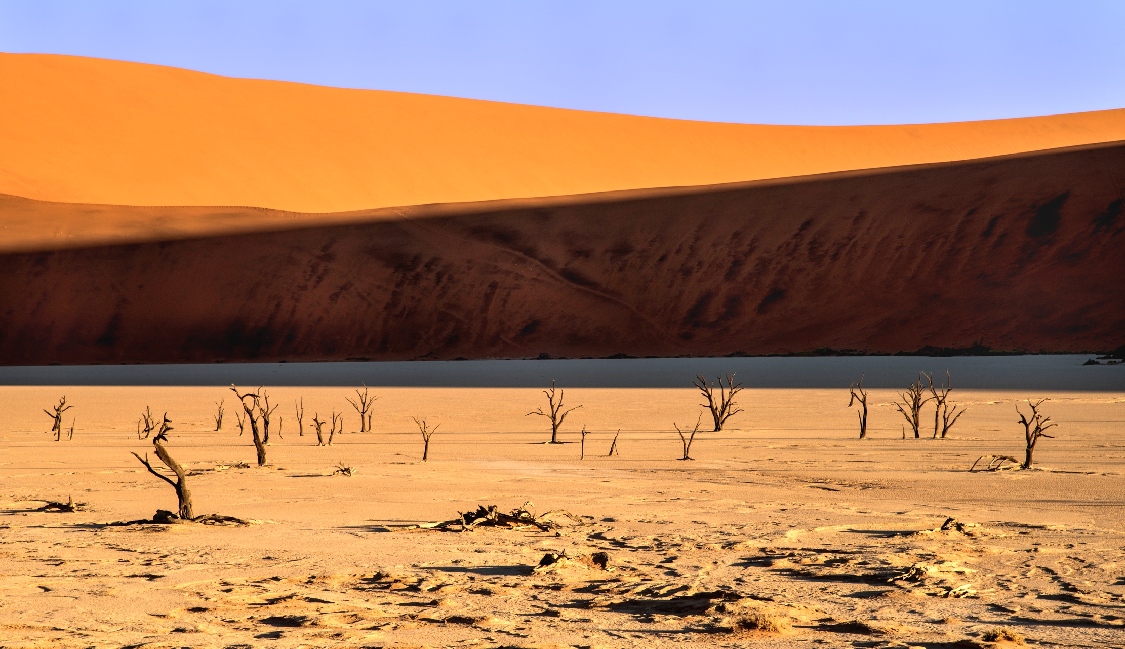 Deserto  del Namib - Deadvlei