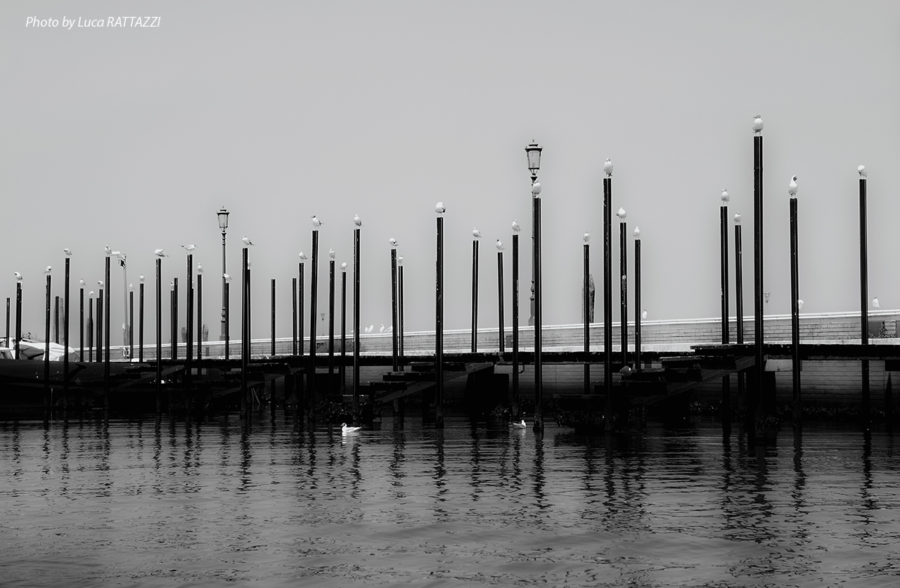 Each cocal and so 'bricola