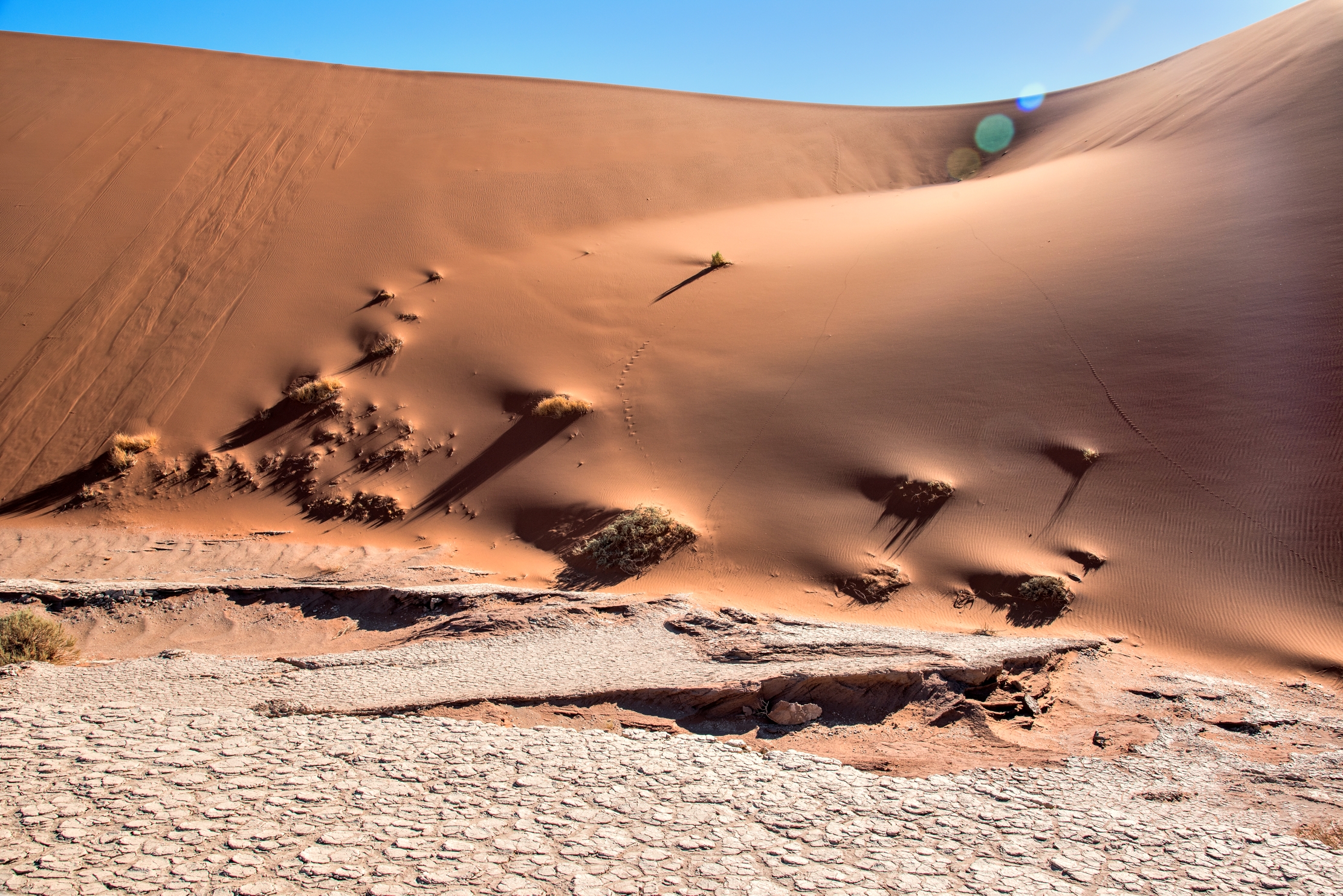 Deserto del Namib