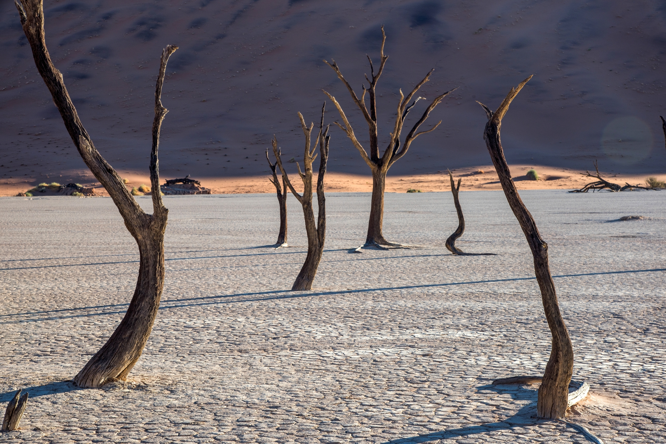 Deserto del Namib - Deadvlei