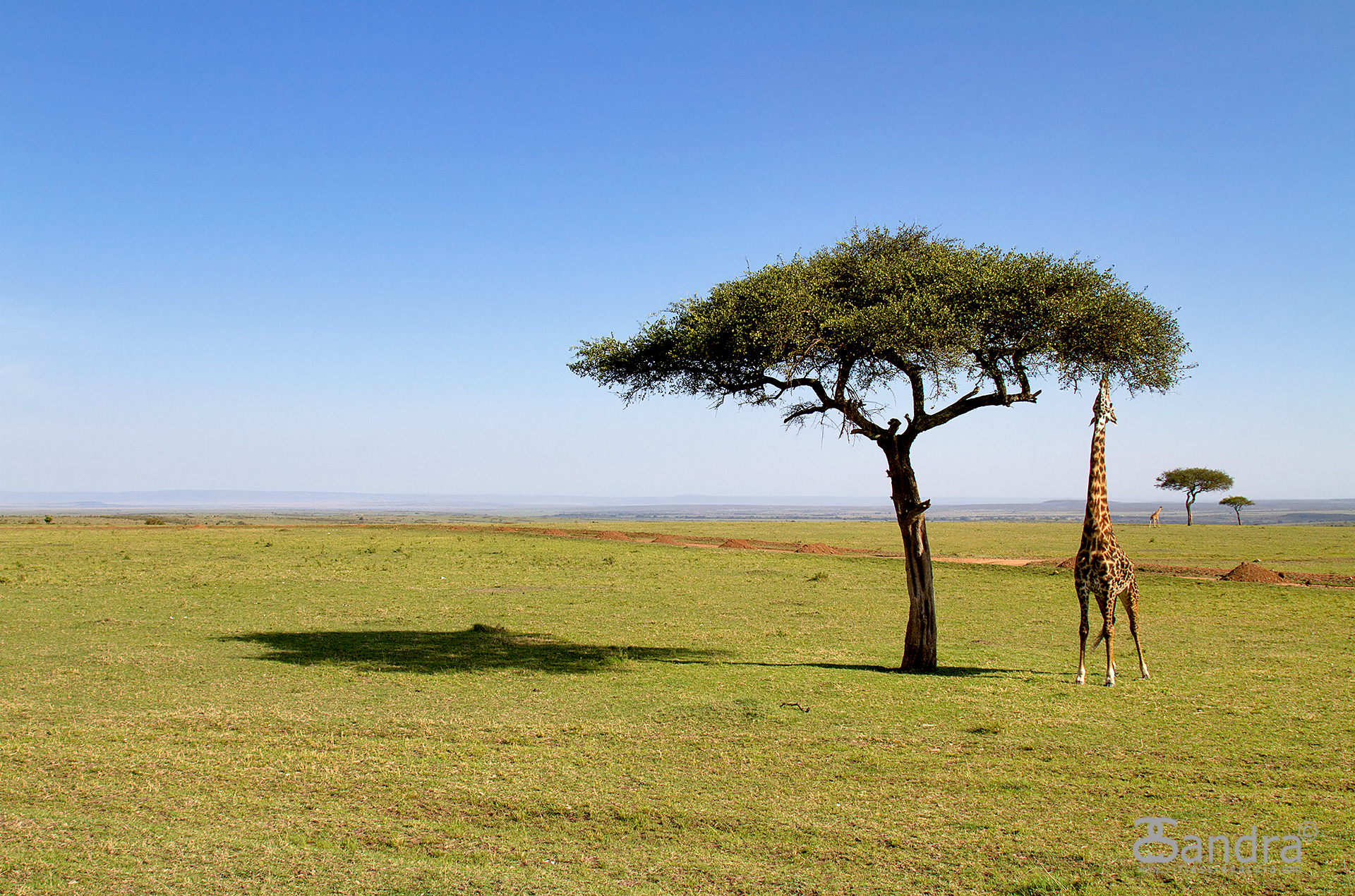 Che fatica mangiare...