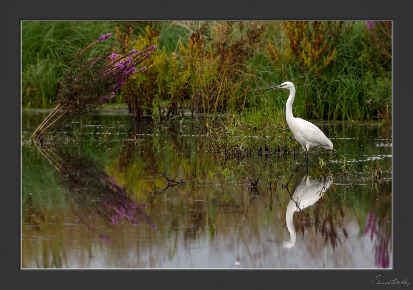 Inizio autunno colori.