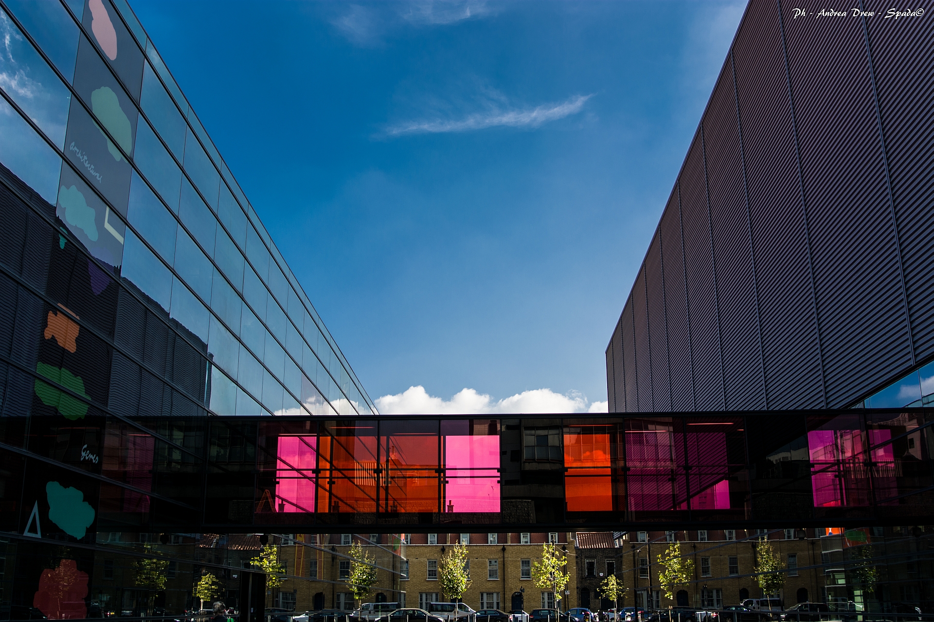 london-pole of the dental school
