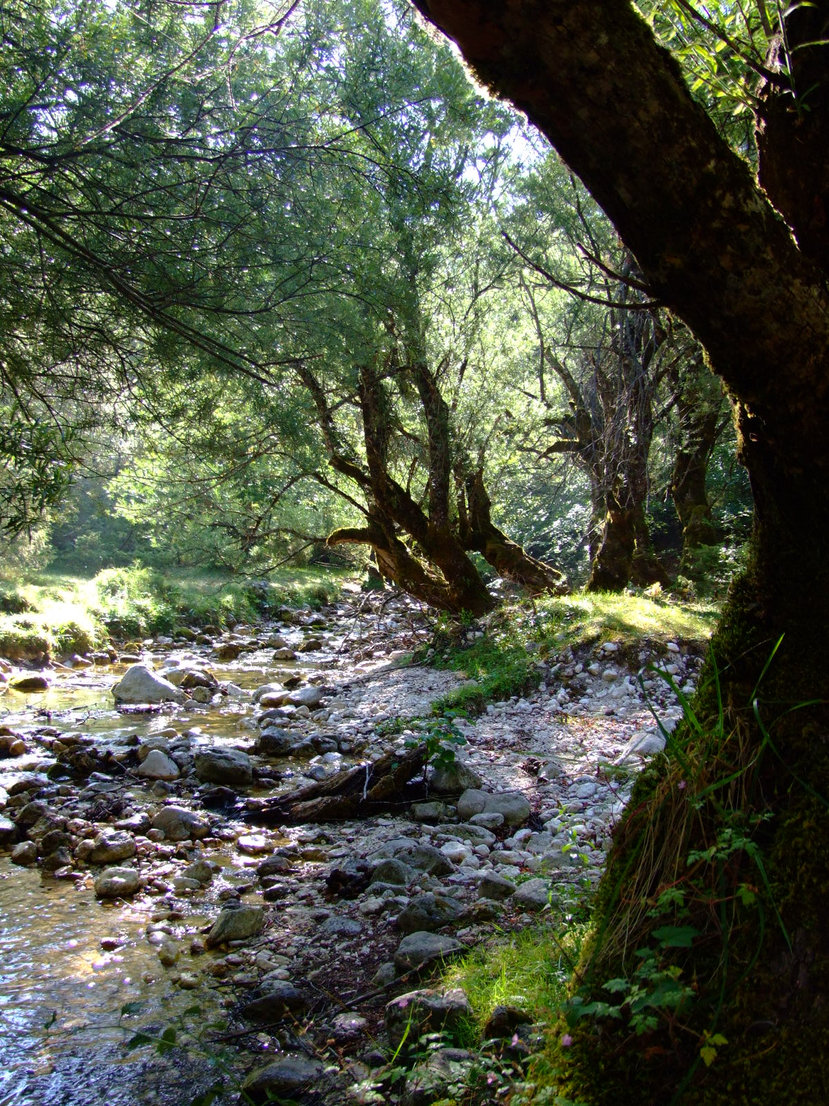 Little water in Abruzzo.Fiume Sangro