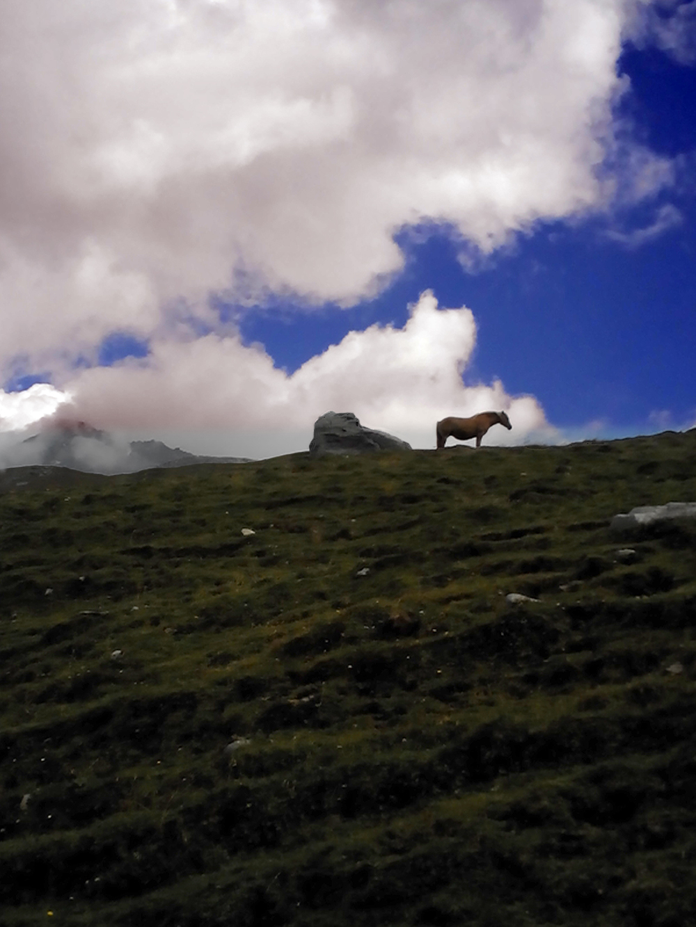 Splugen Pass. L'uomo e il cavallo