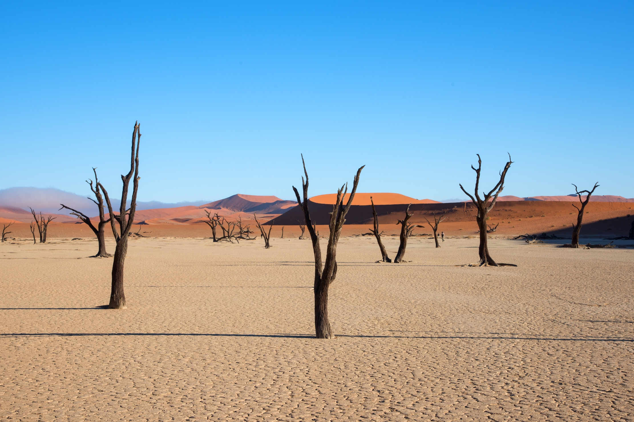 Deserto del Namib - Deadvlei