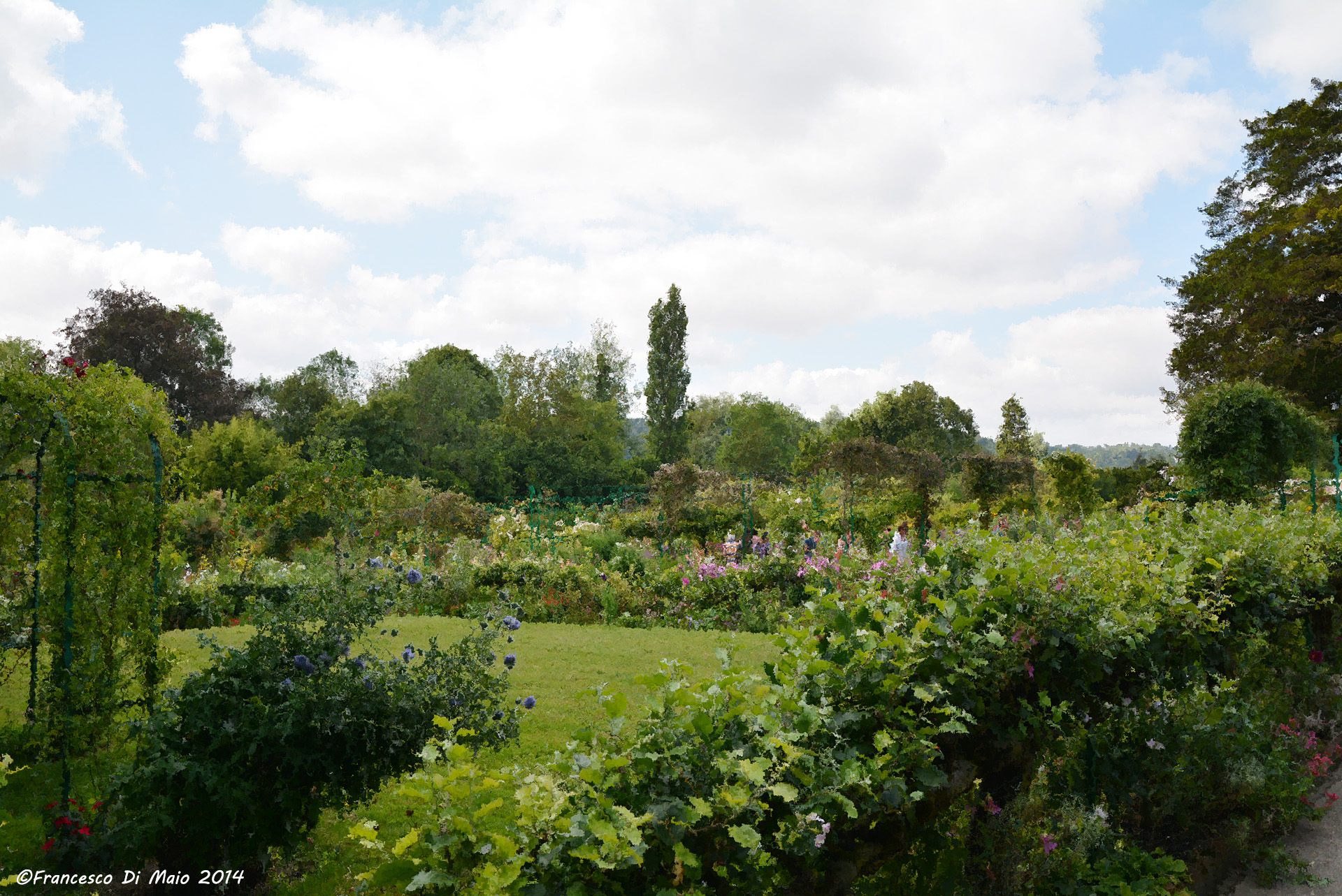 Futurist vein - Monet's gardens at Giverny