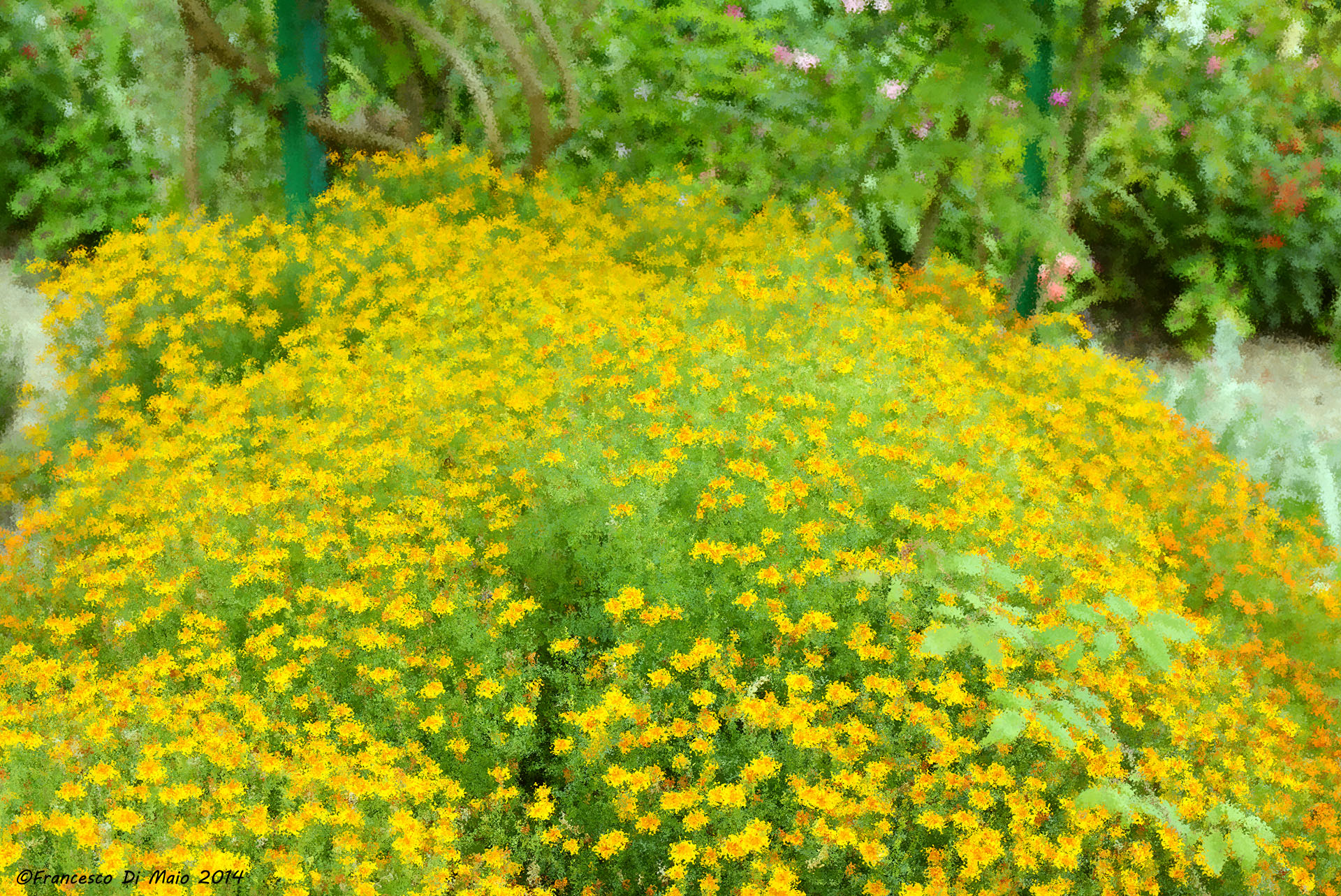 Futurist vein - daisies