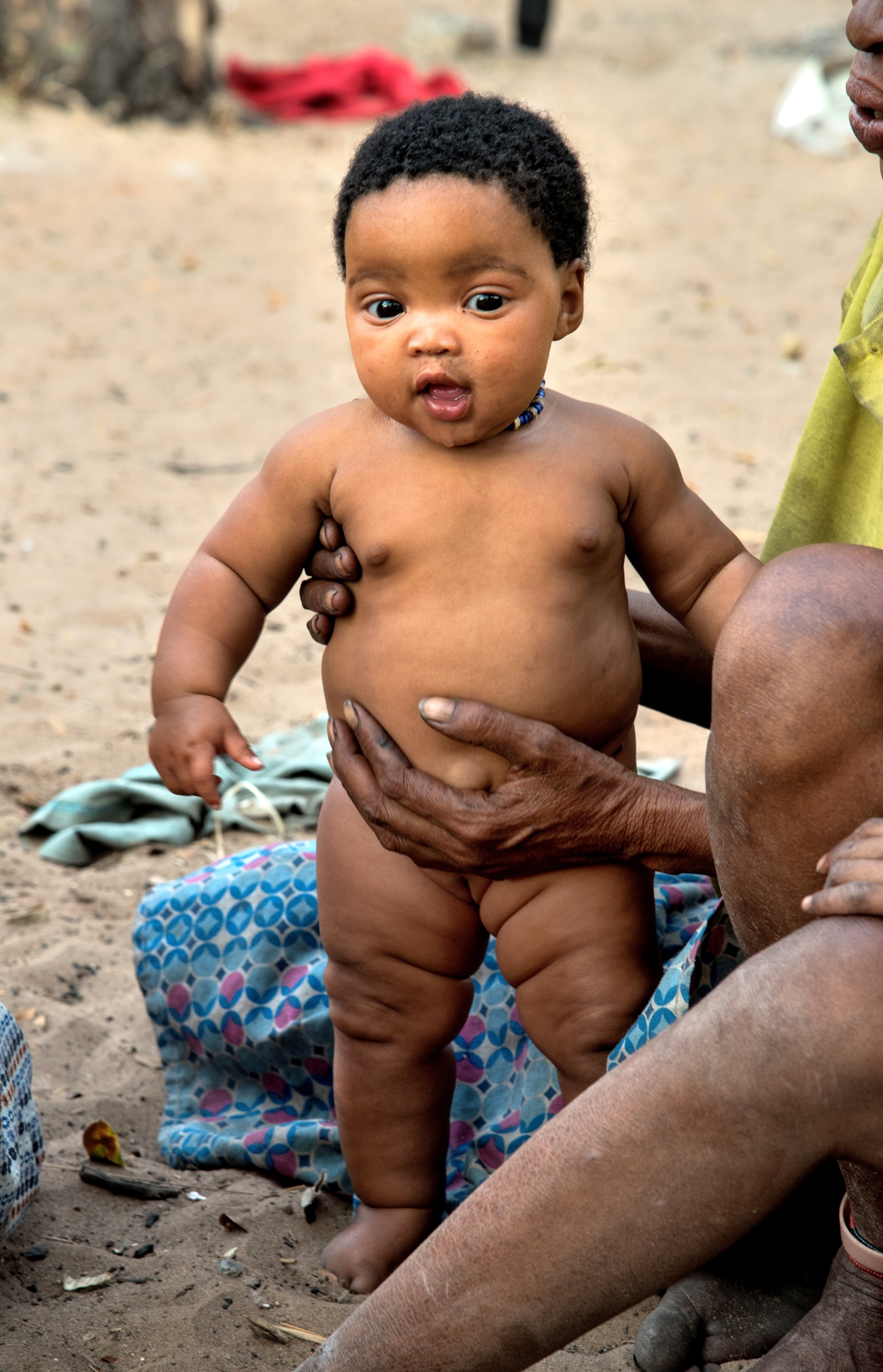 Bushmanland - Bimba Boscimane (Botero?)