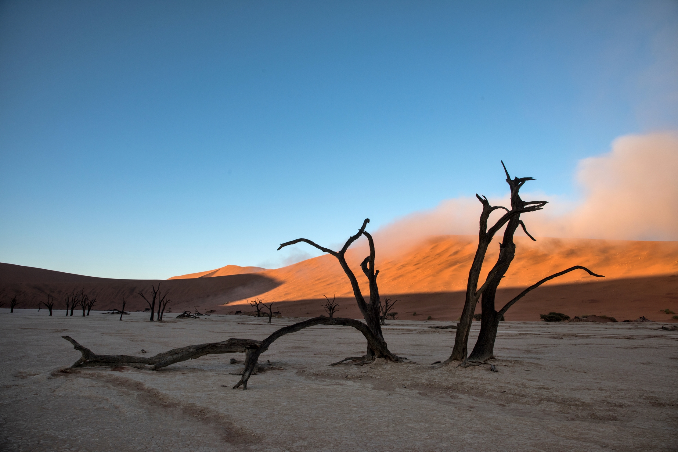 Deserto del Namib - Deadvlei