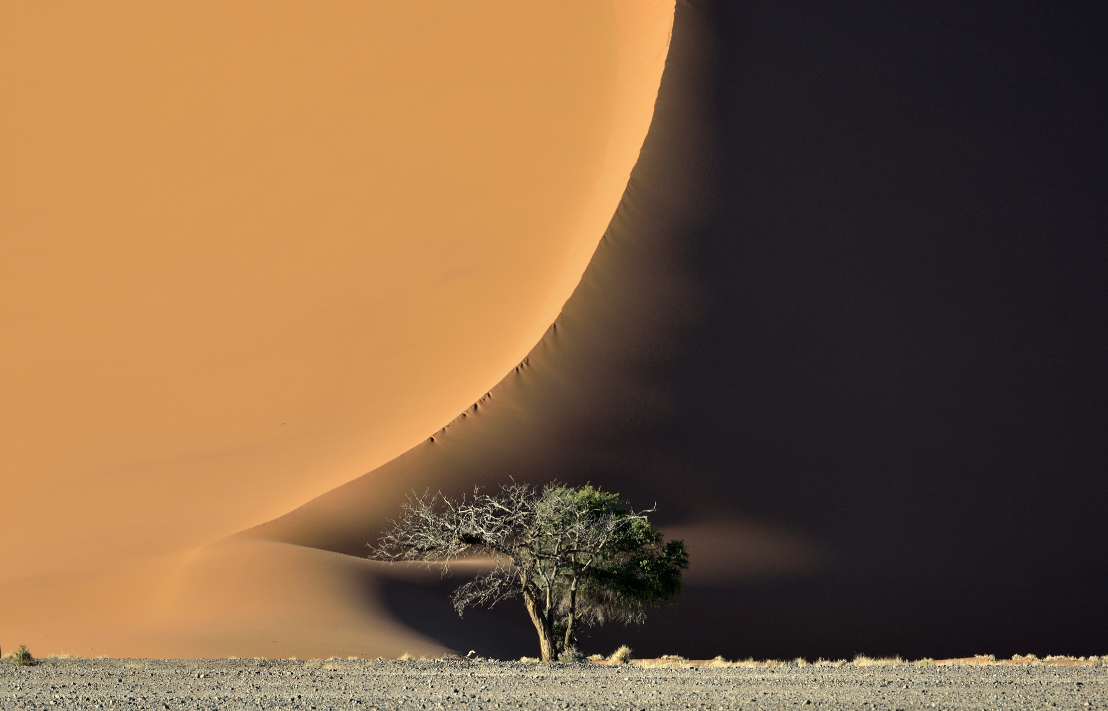 Deserto del Namib