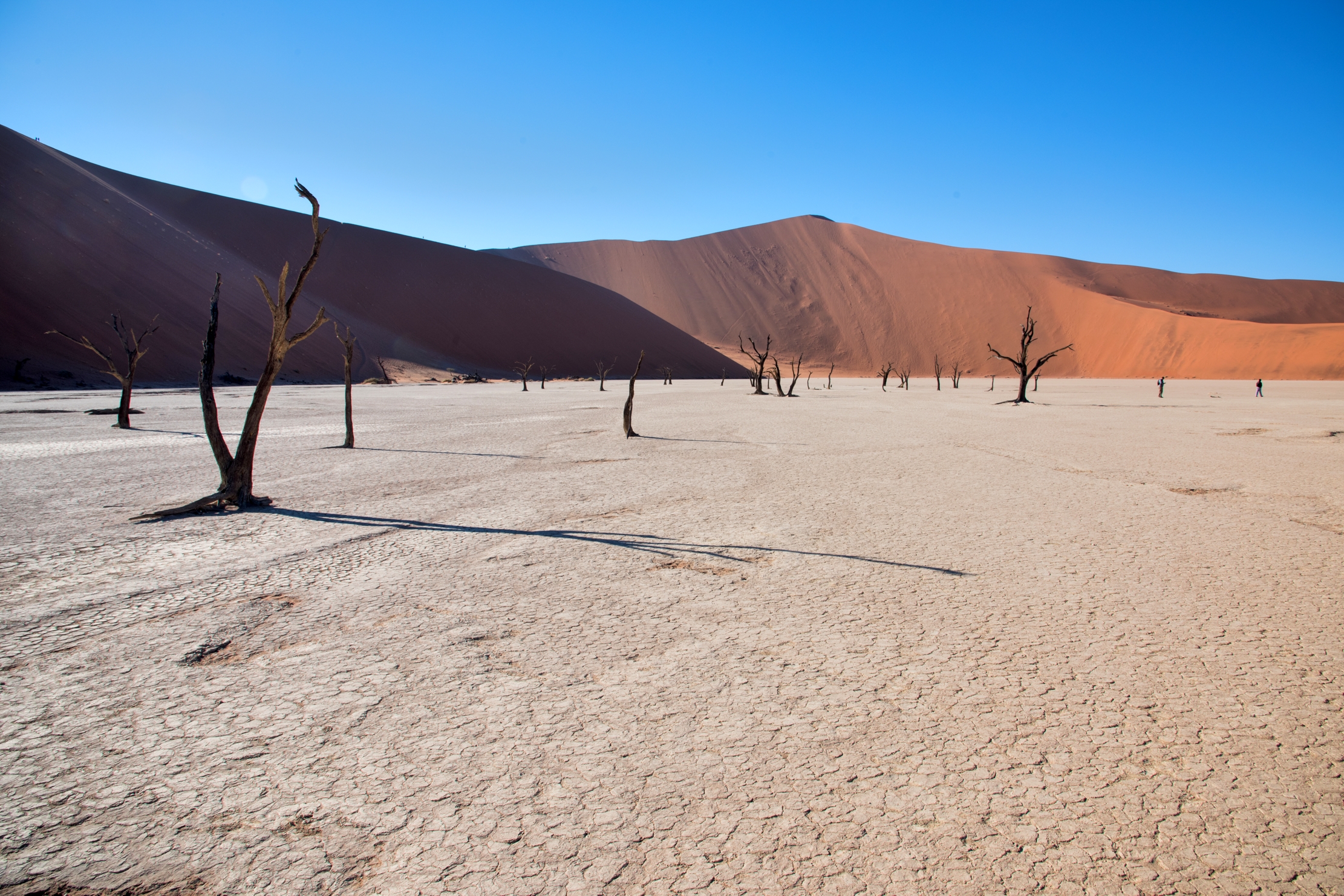 Deserto del Namib - Deadvlei
